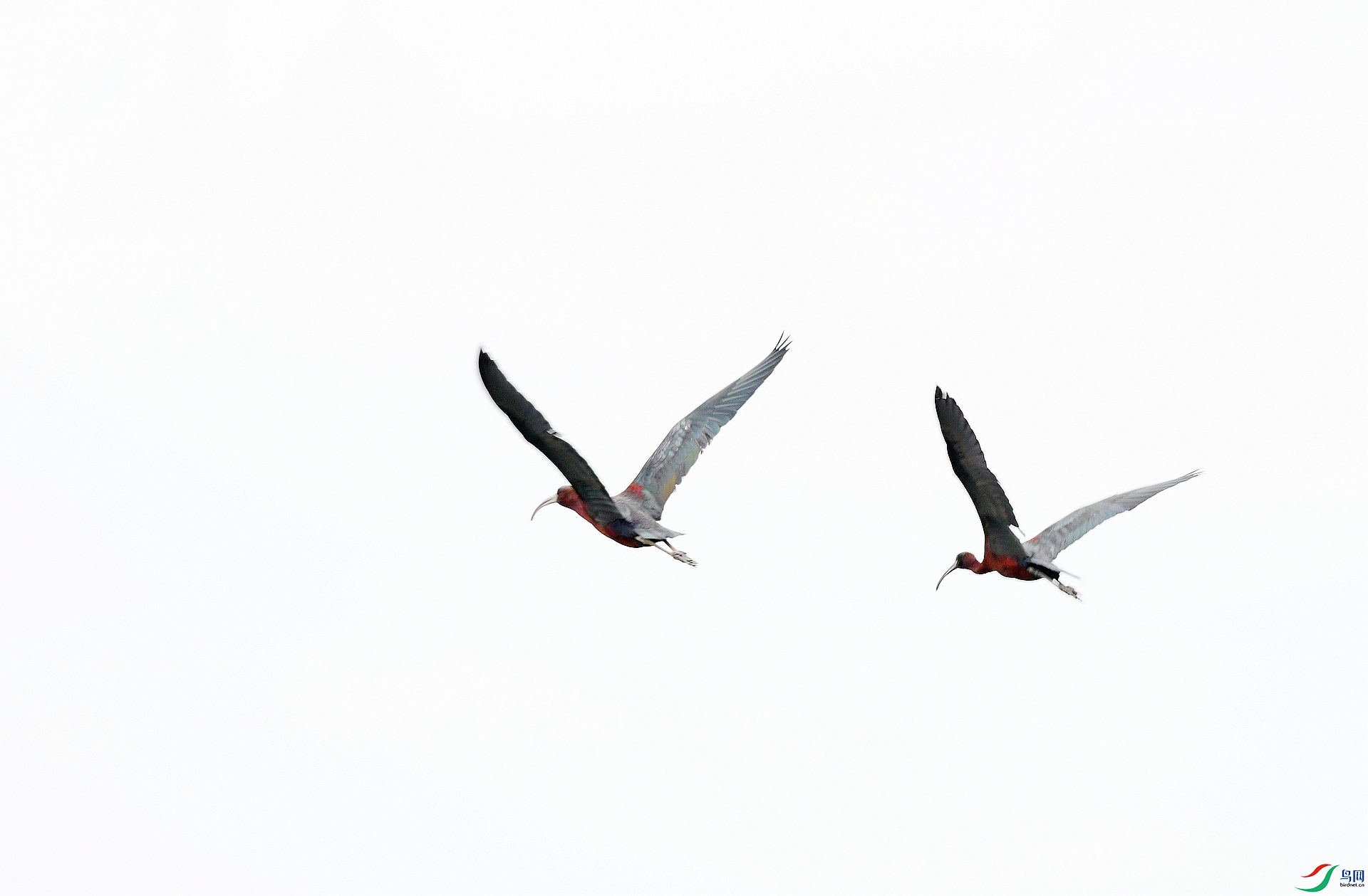 DSC_0298.jpg
