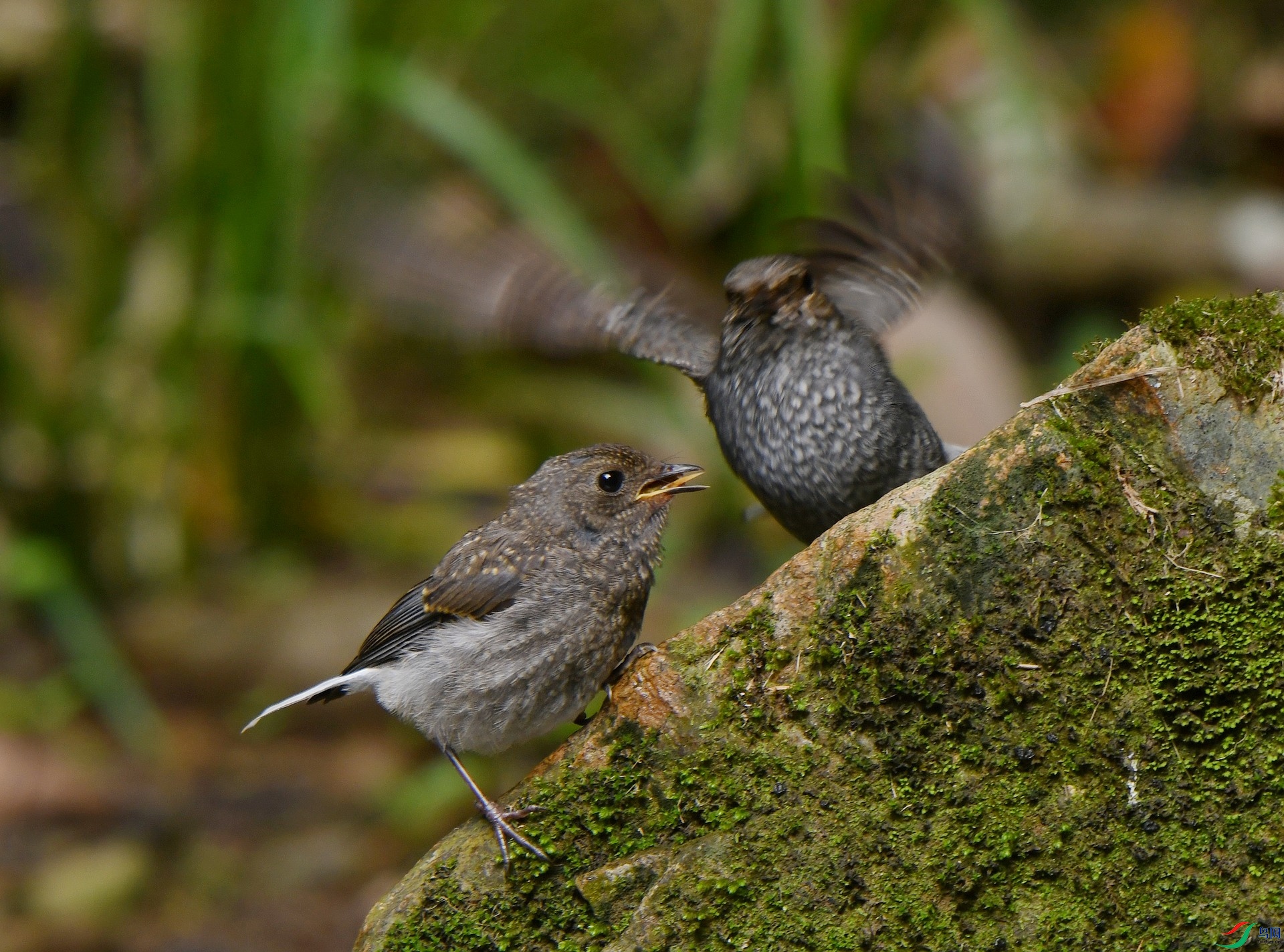 DSC_7606.jpg