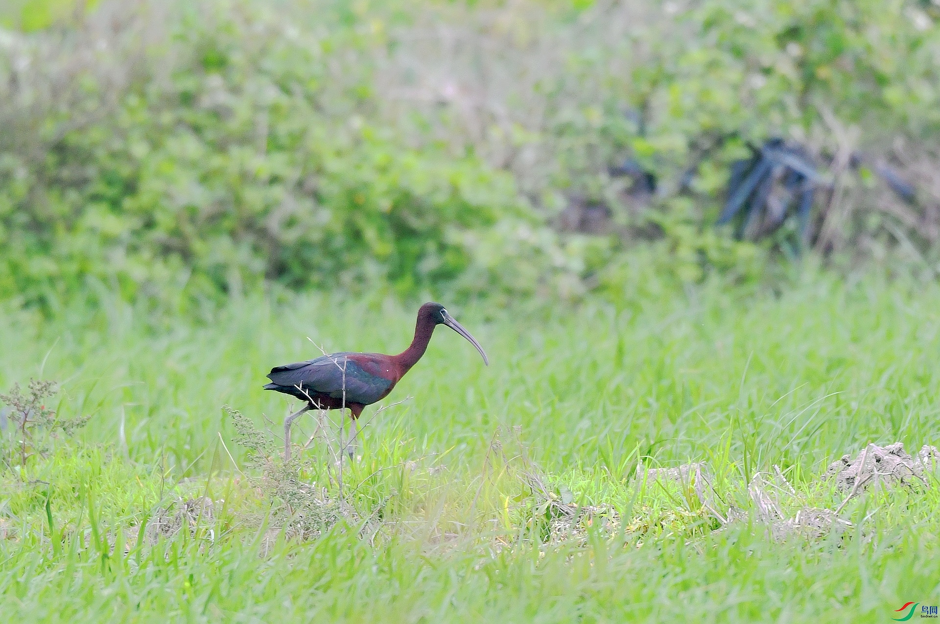DSC_0255.jpg