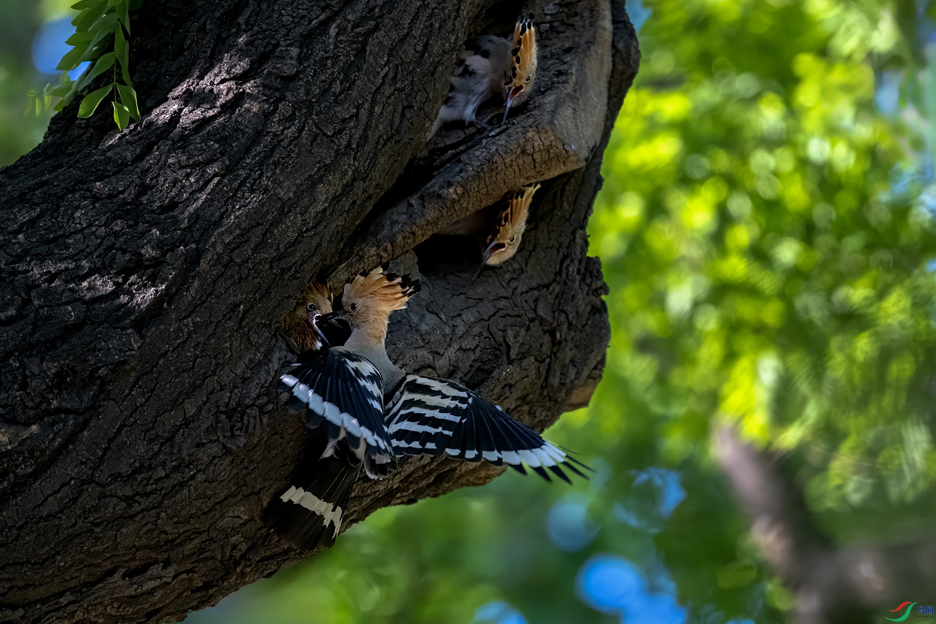 DSC_8207-.jpg