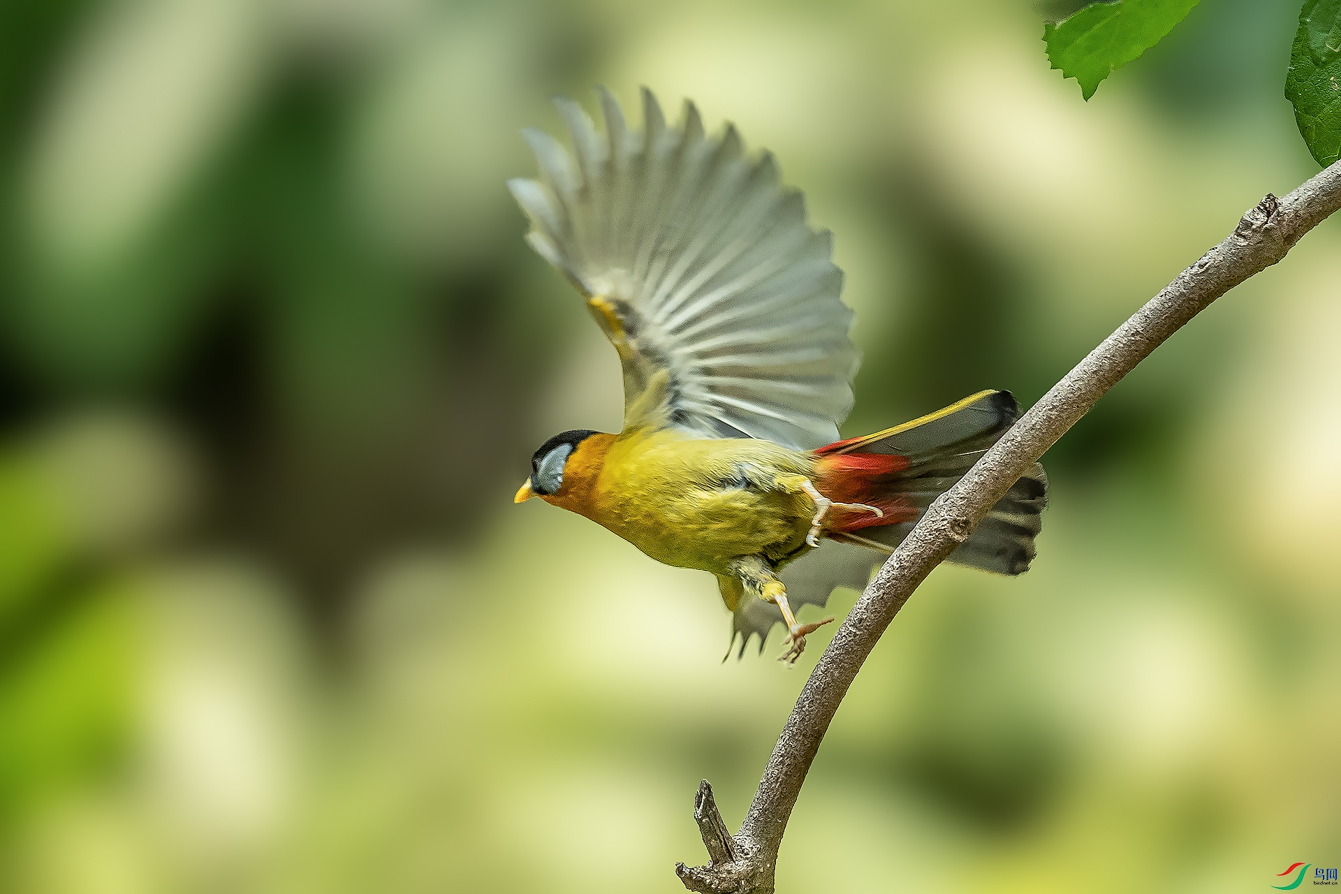 DSC_9718.jpg