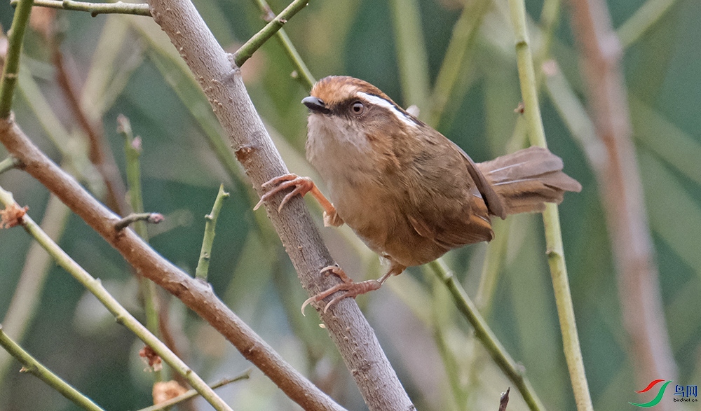 DSCF5282.1.jpg