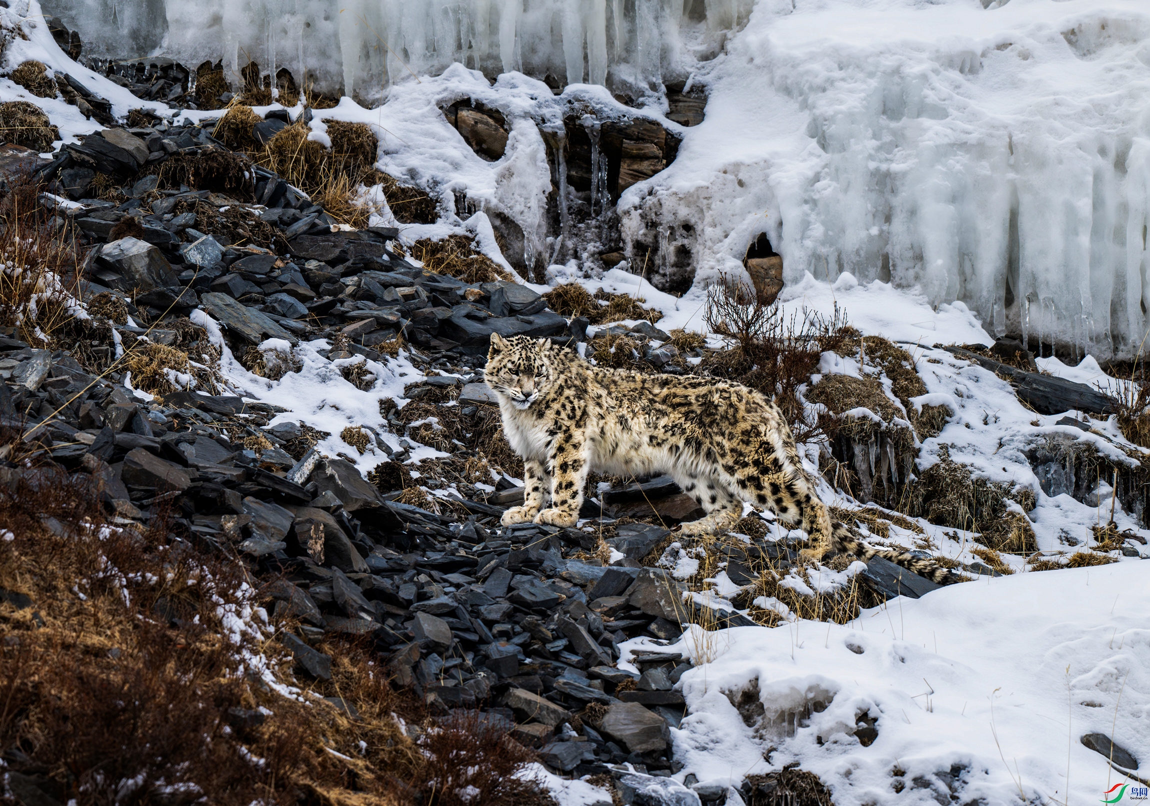 _DSC8267-����ǿ-NR.jpg