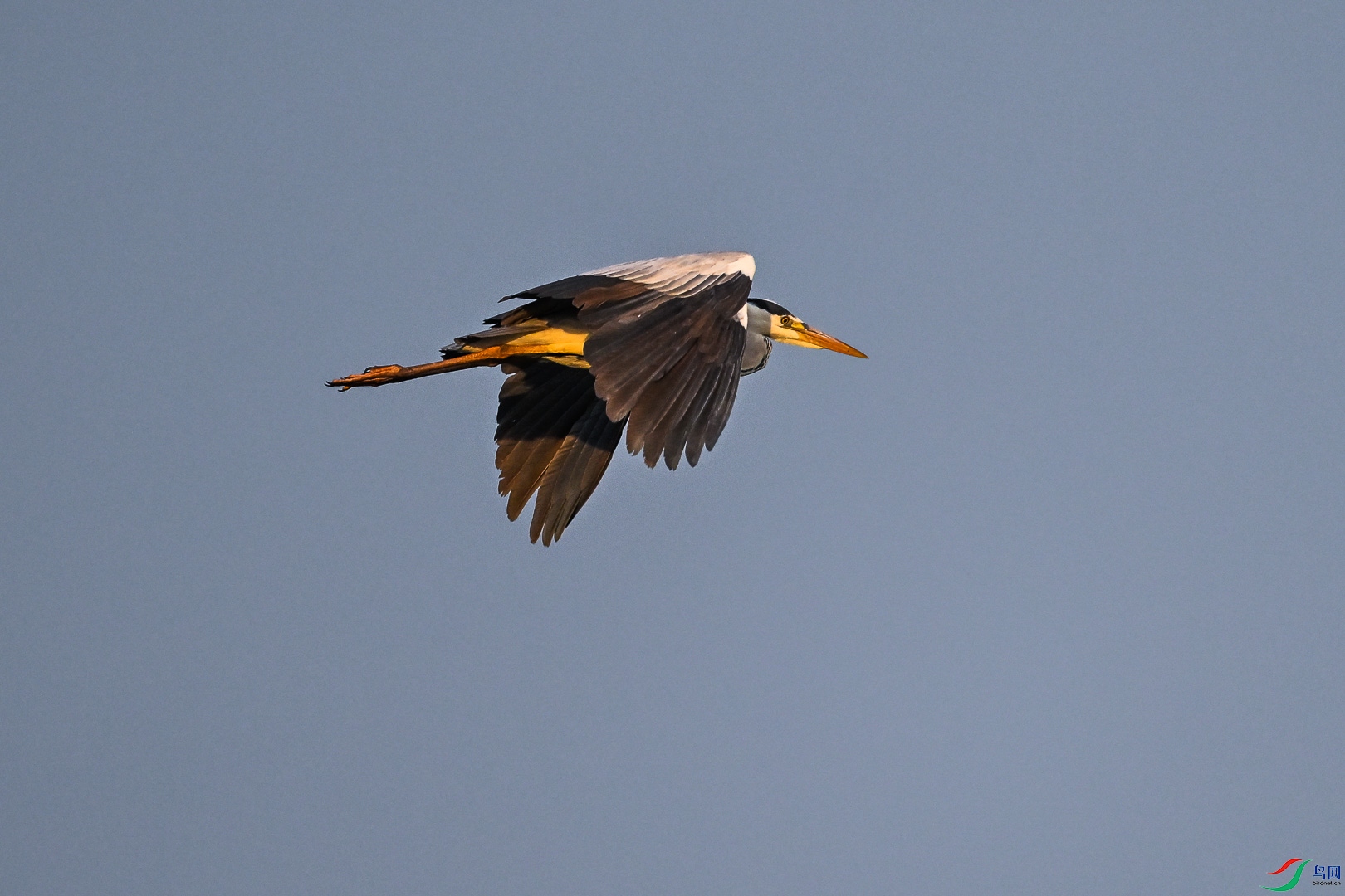 DSC_0091.jpg