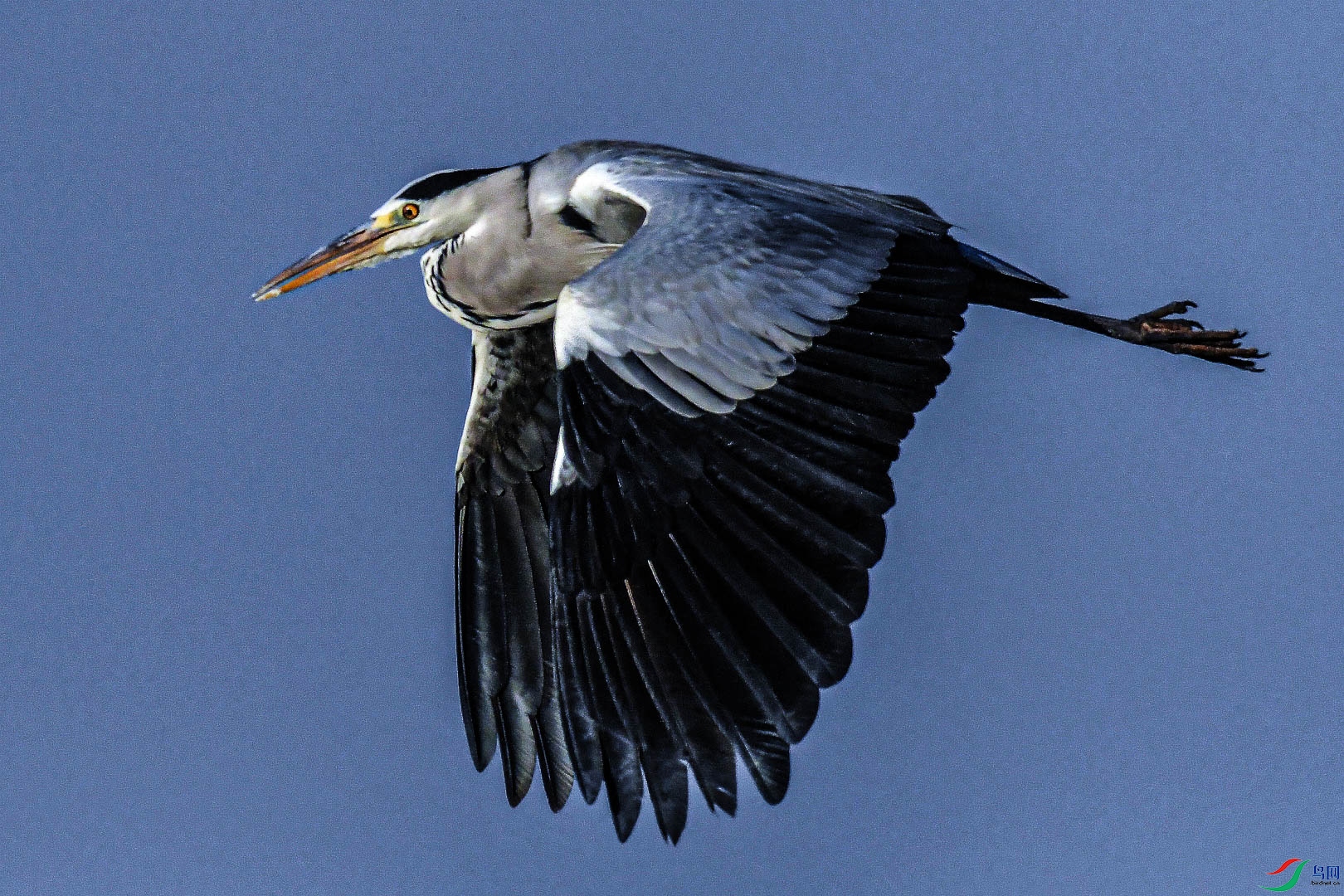DSC_0125.jpg