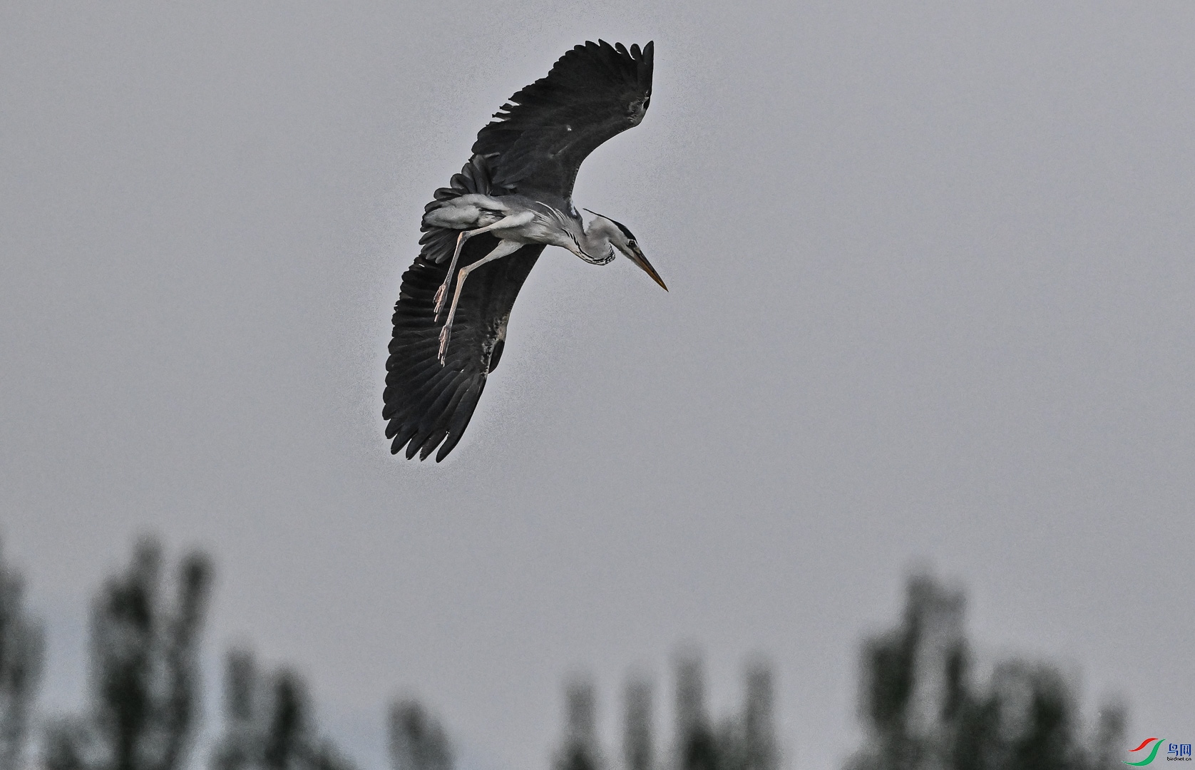DSC_0400.jpg
