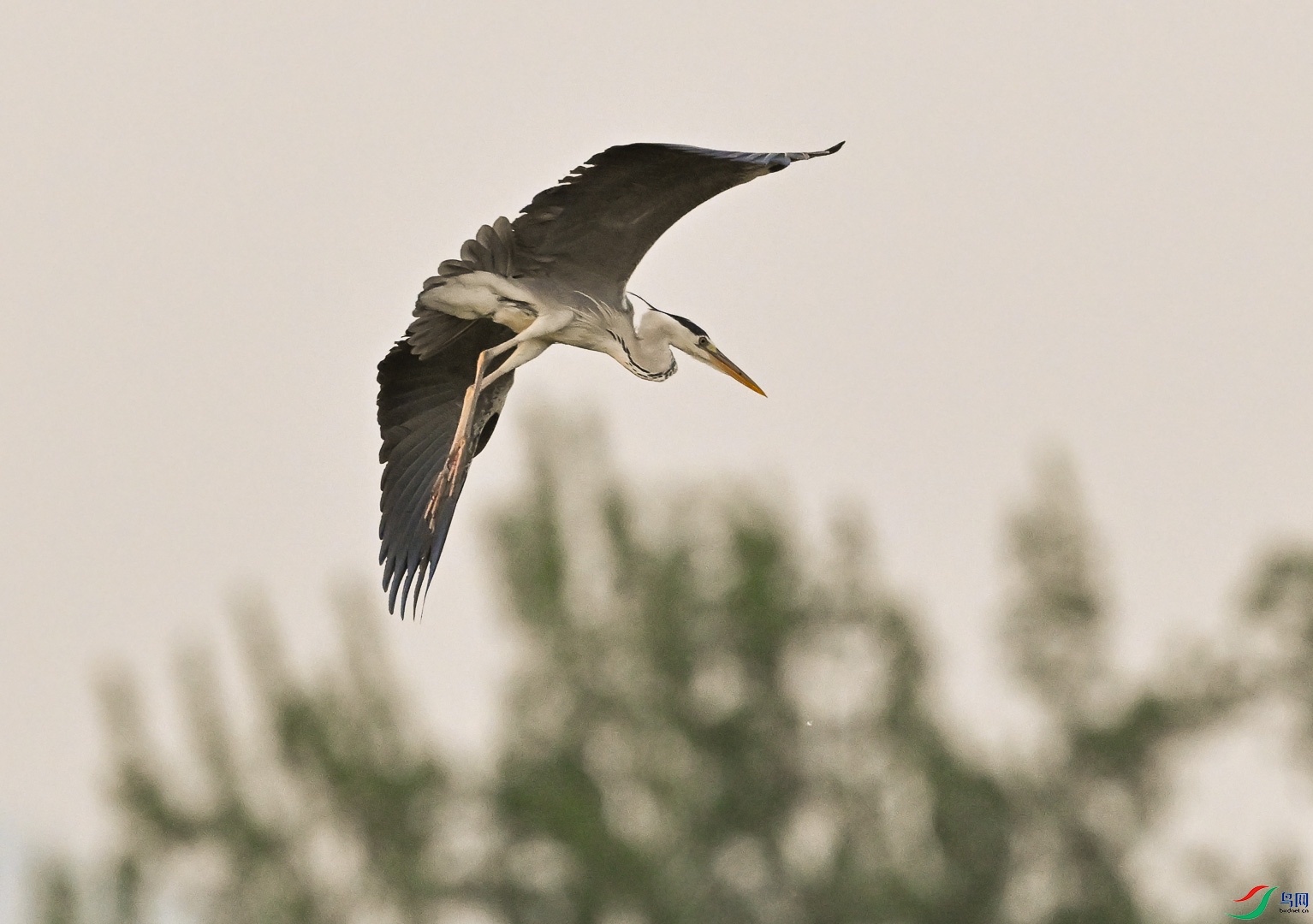 DSC_0402.jpg