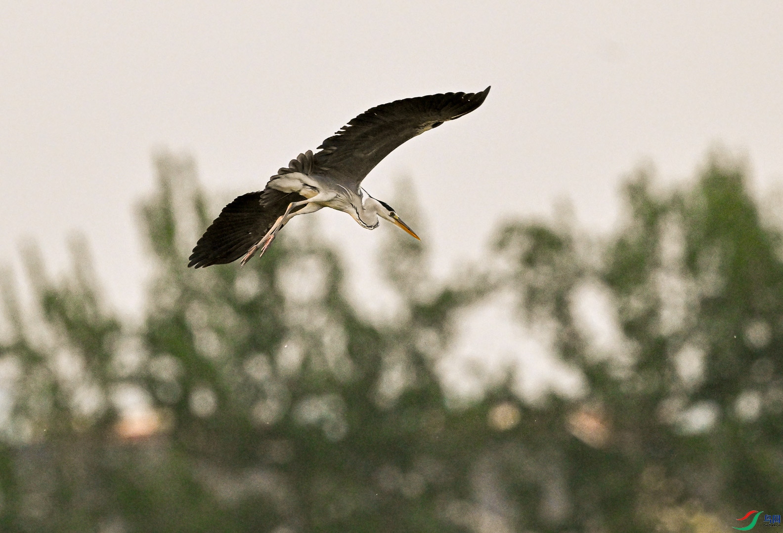 DSC_0403.jpg