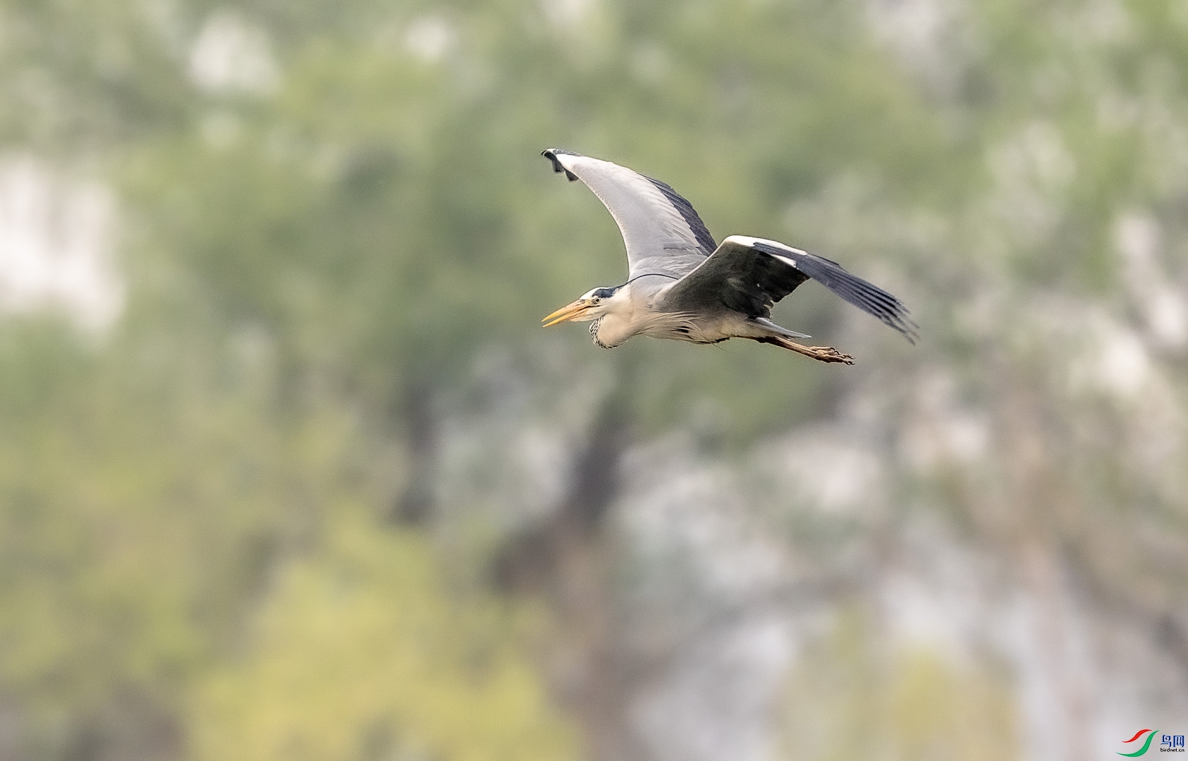 DSC_4808.jpg