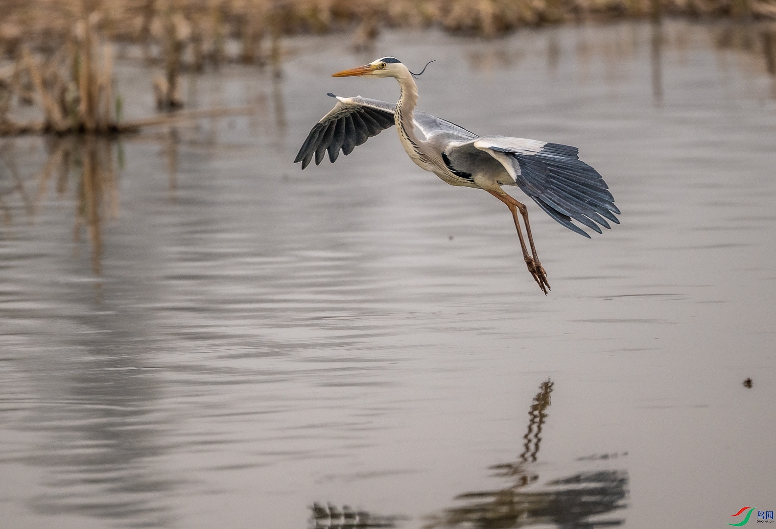 DSC_5123.jpg