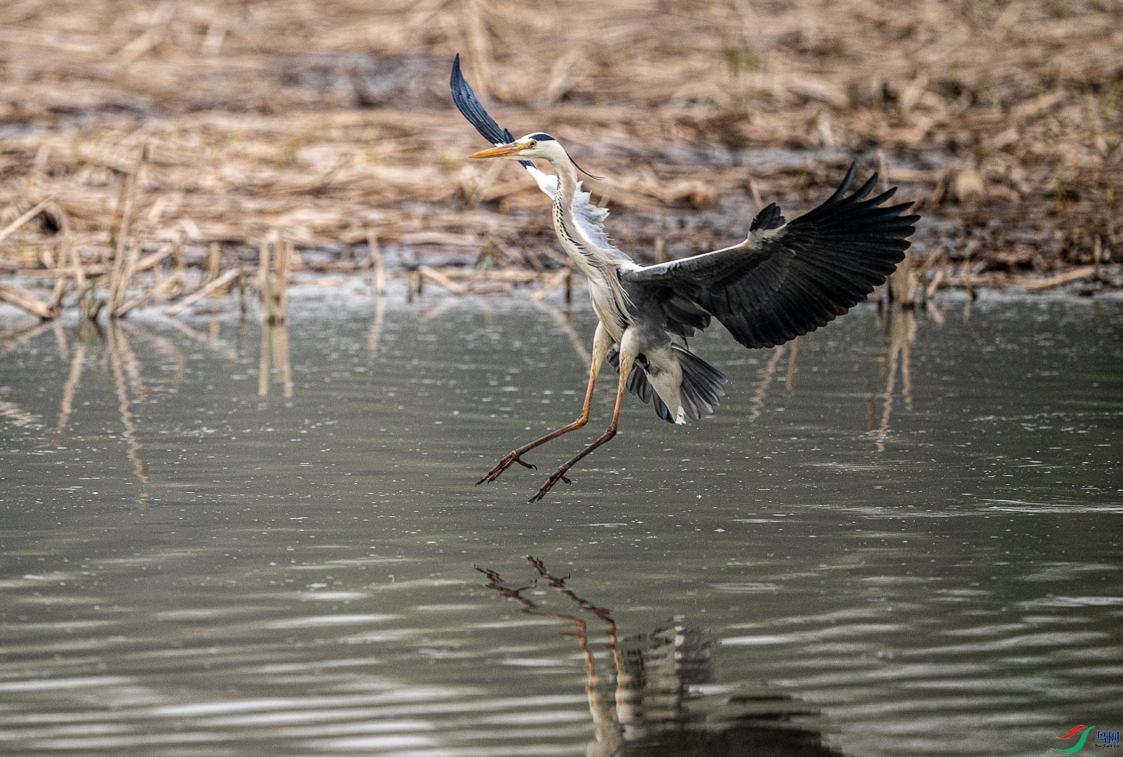 DSC_5126.jpg