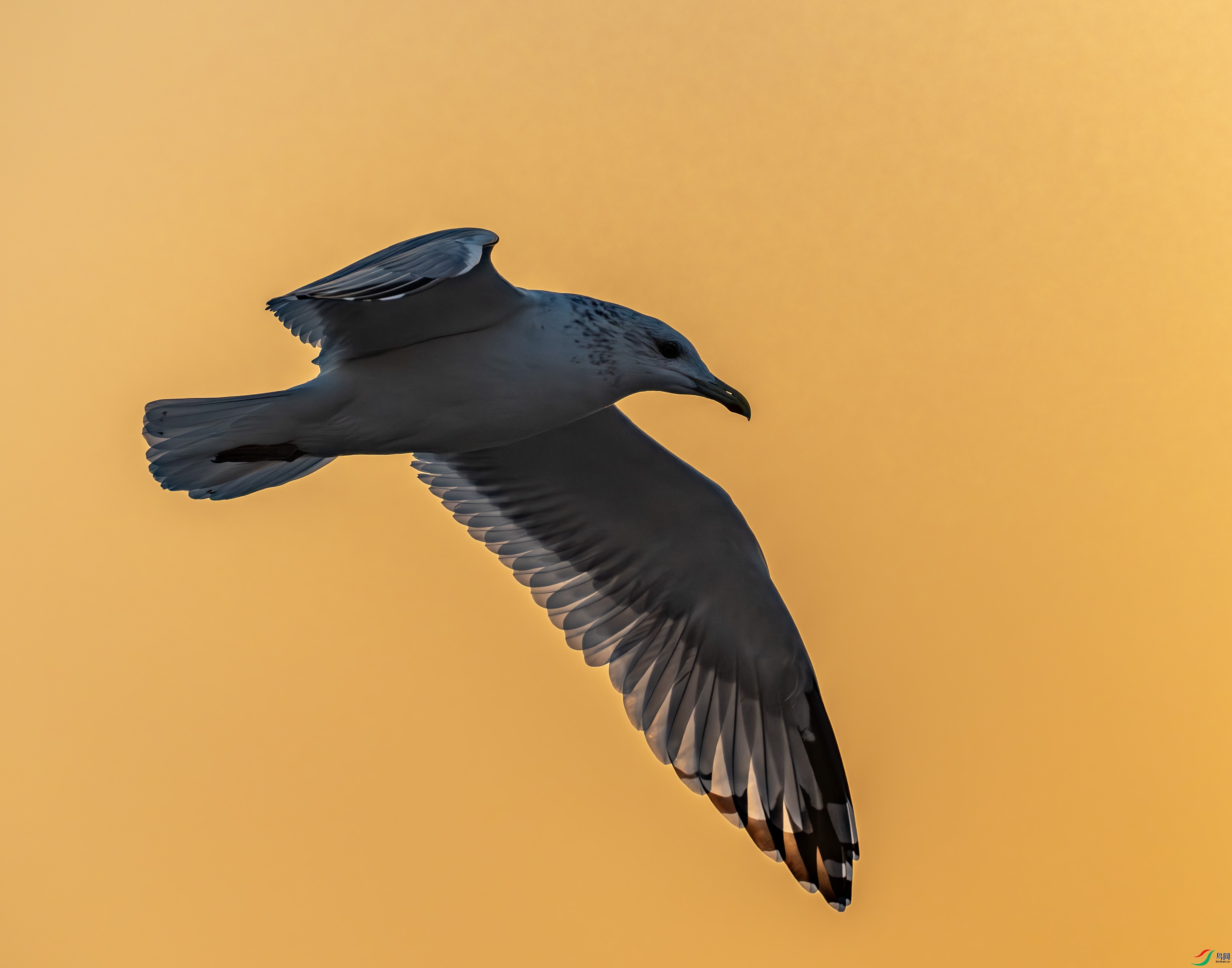 ����������Ÿ-03-40.jpg