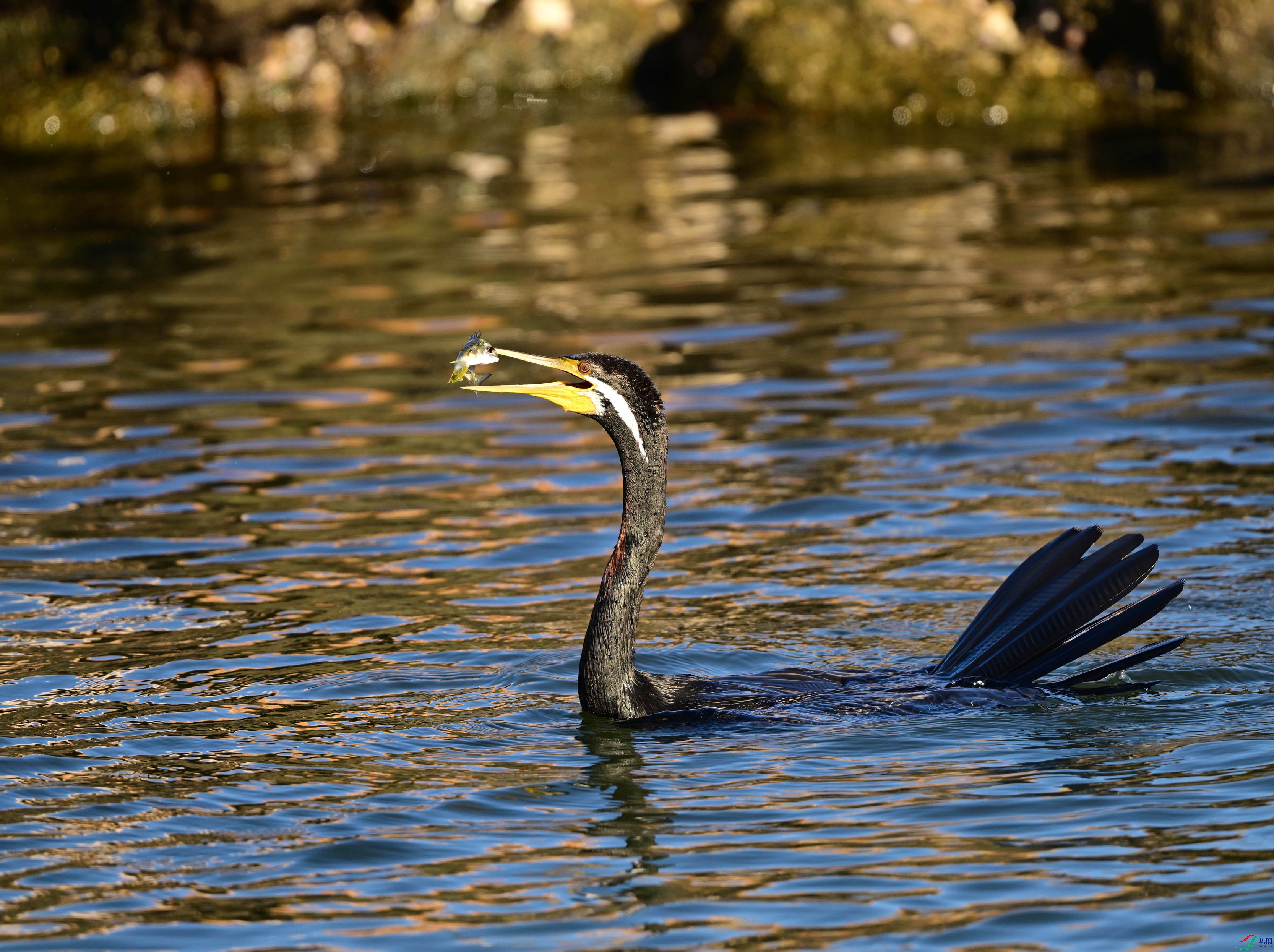 DSC_5408_��ͼ��_����.jpg