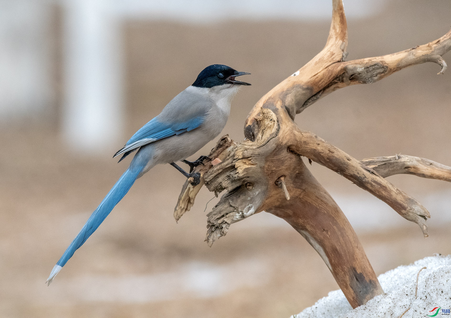 DSC_3282_��ͼ��_��ͼ�� ����.jpg