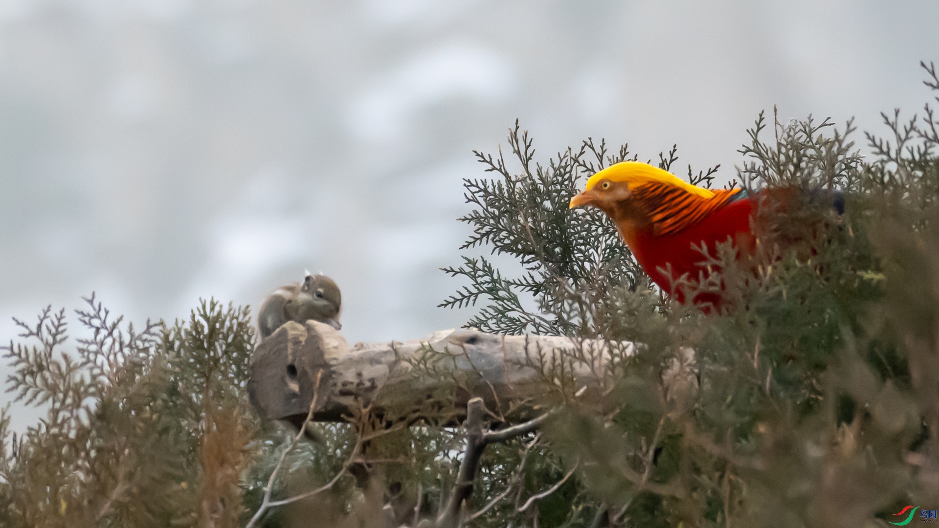 DSC_6324.jpg