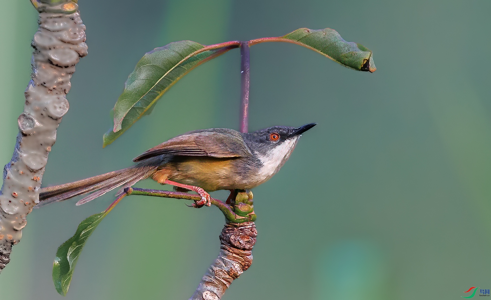 BJ1R3382-1.jpg