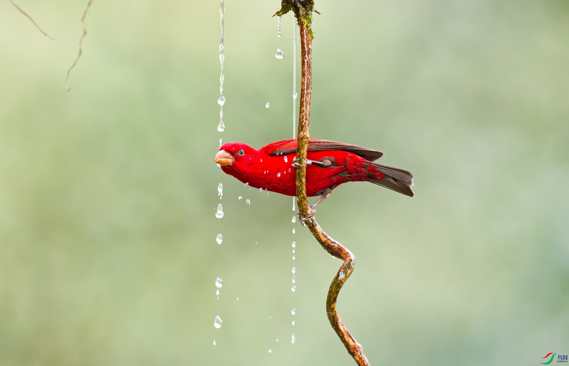 489A7709_DxO-2.jpg