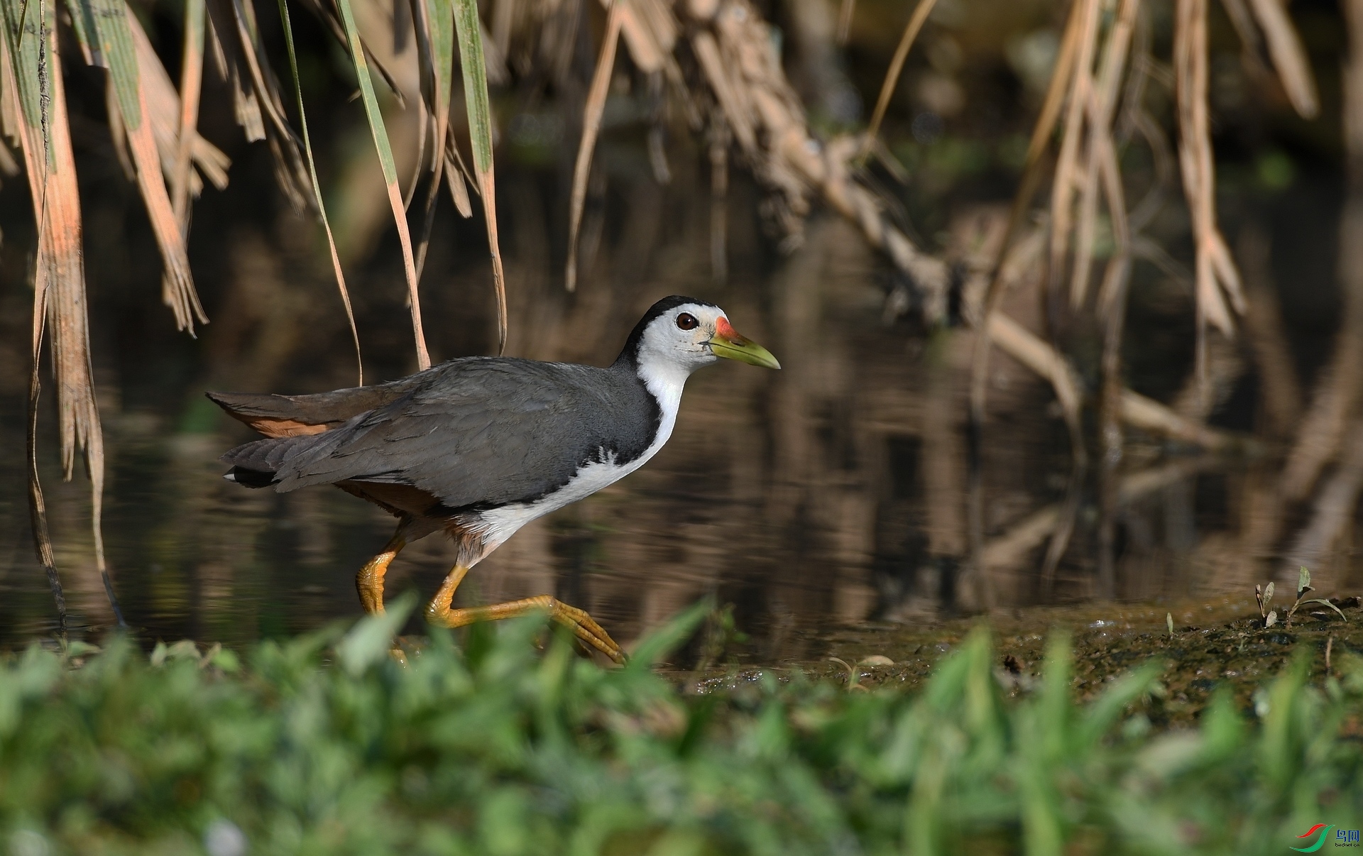 DSC_9964.jpg
