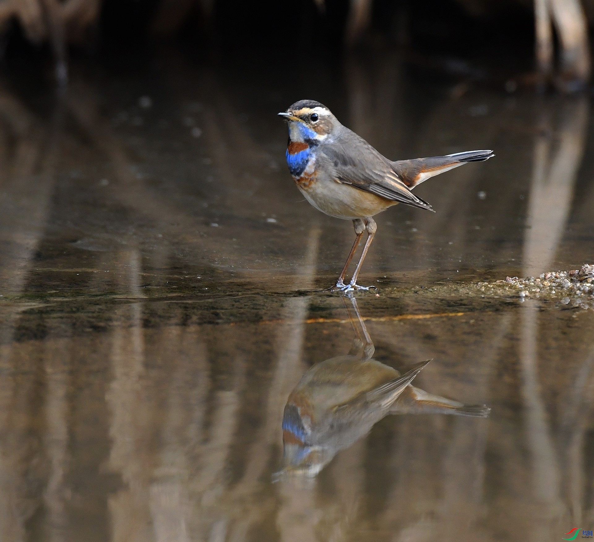 DSC_7309.jpg