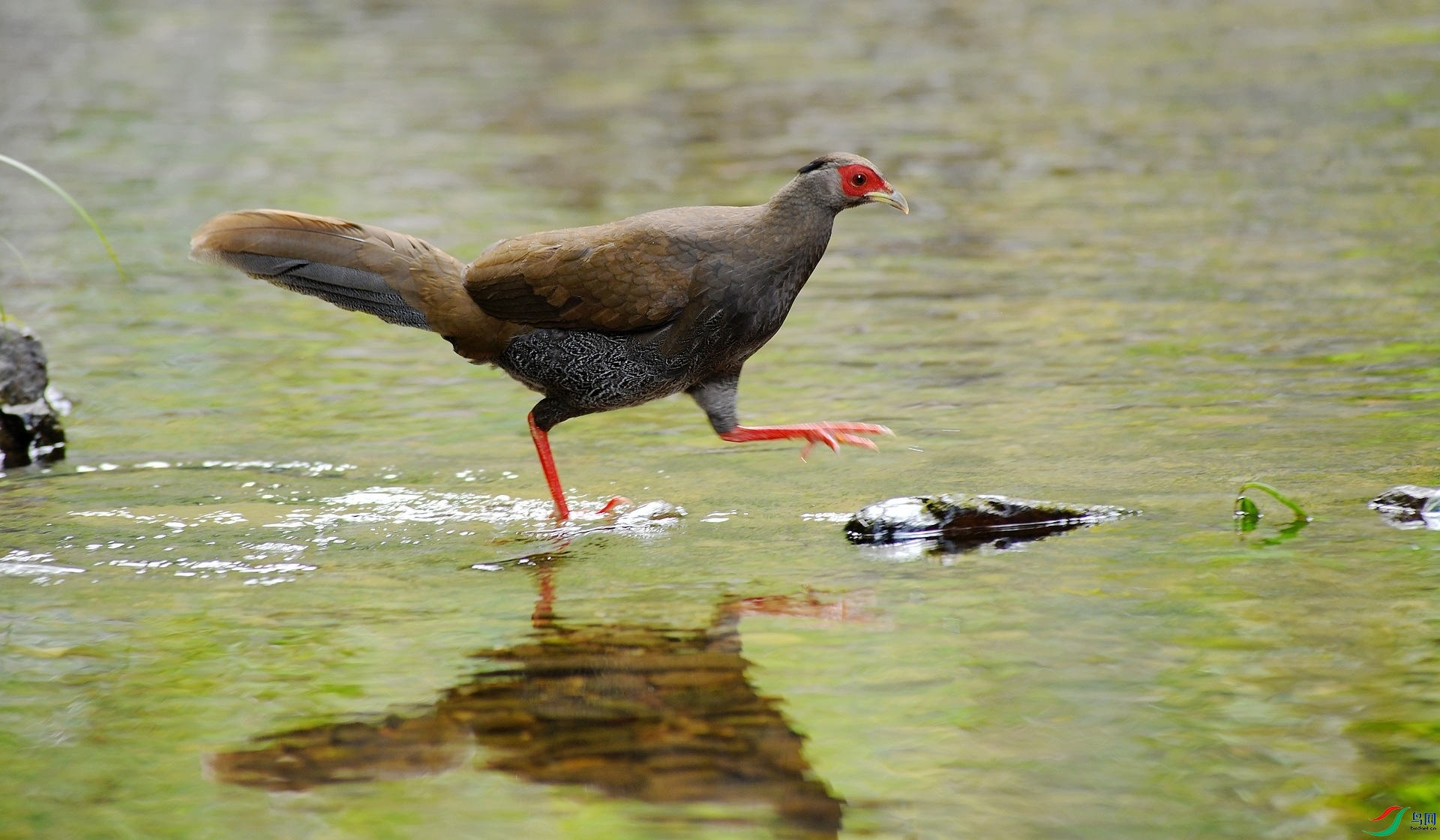 DSC_5972.jpg