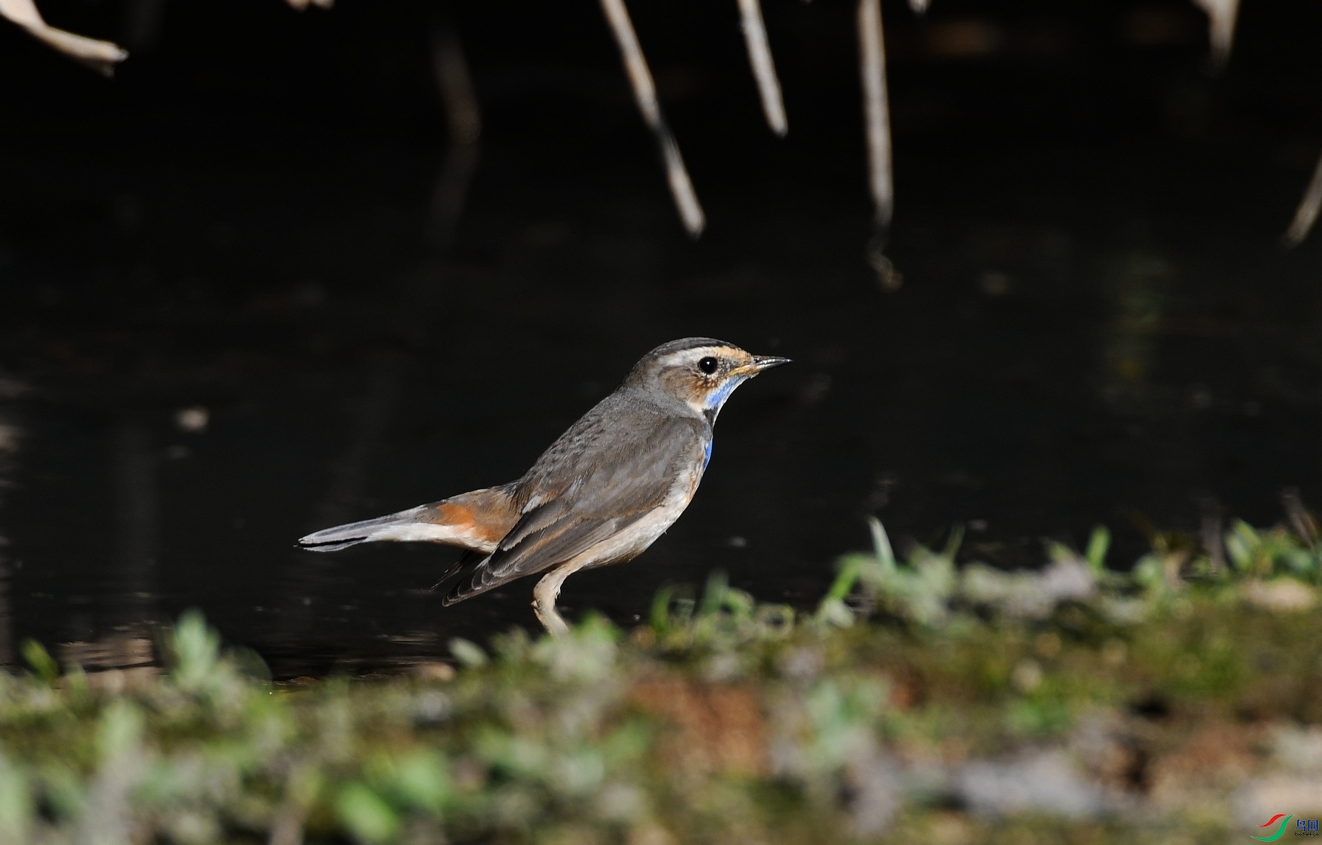 DSC_4909.jpg