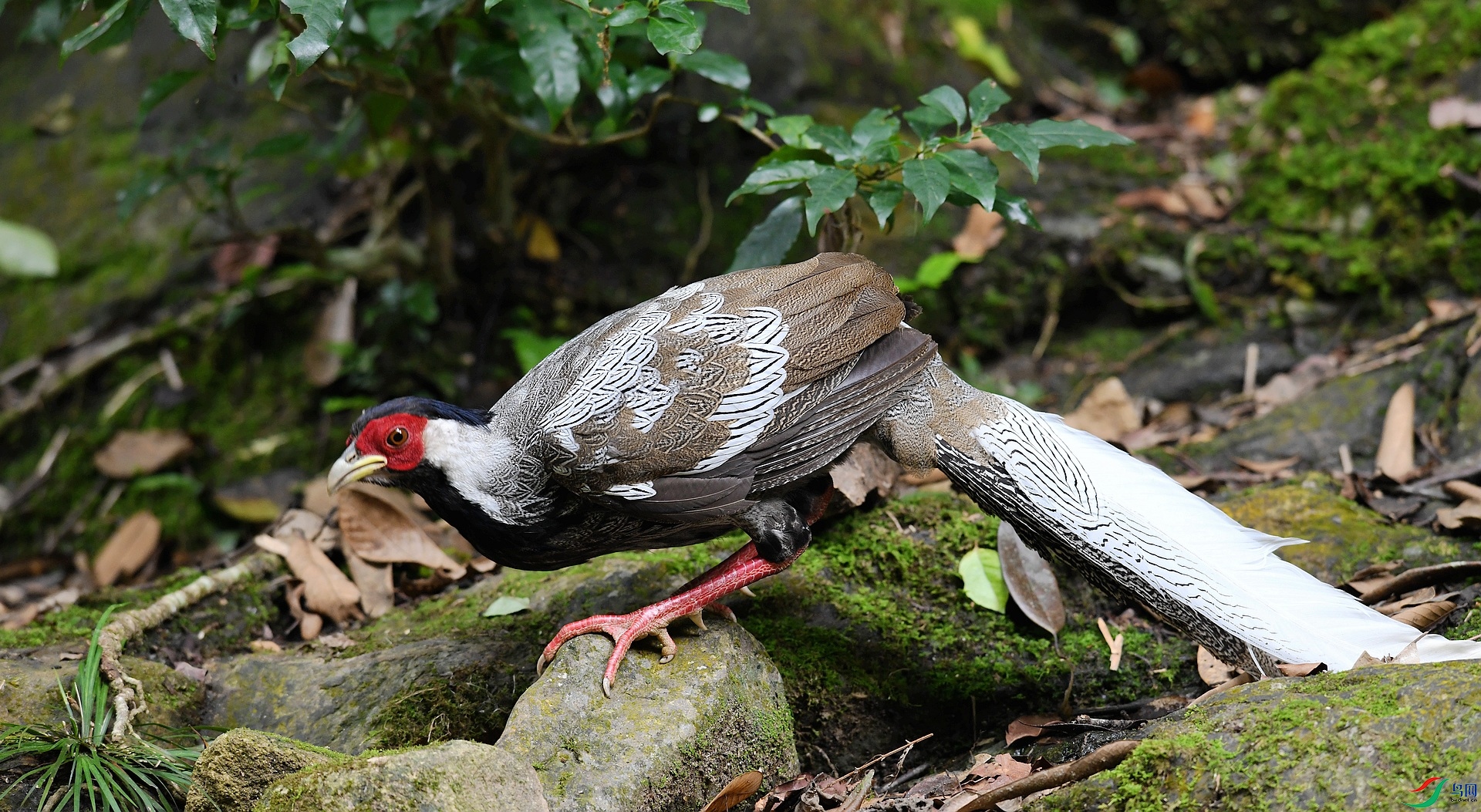 DSC_0624.jpg