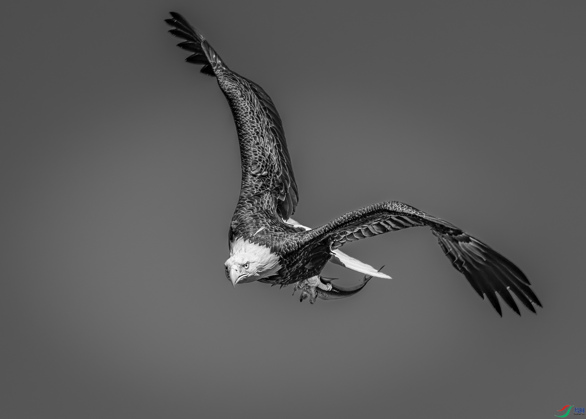 9I6A3325_1.jpg