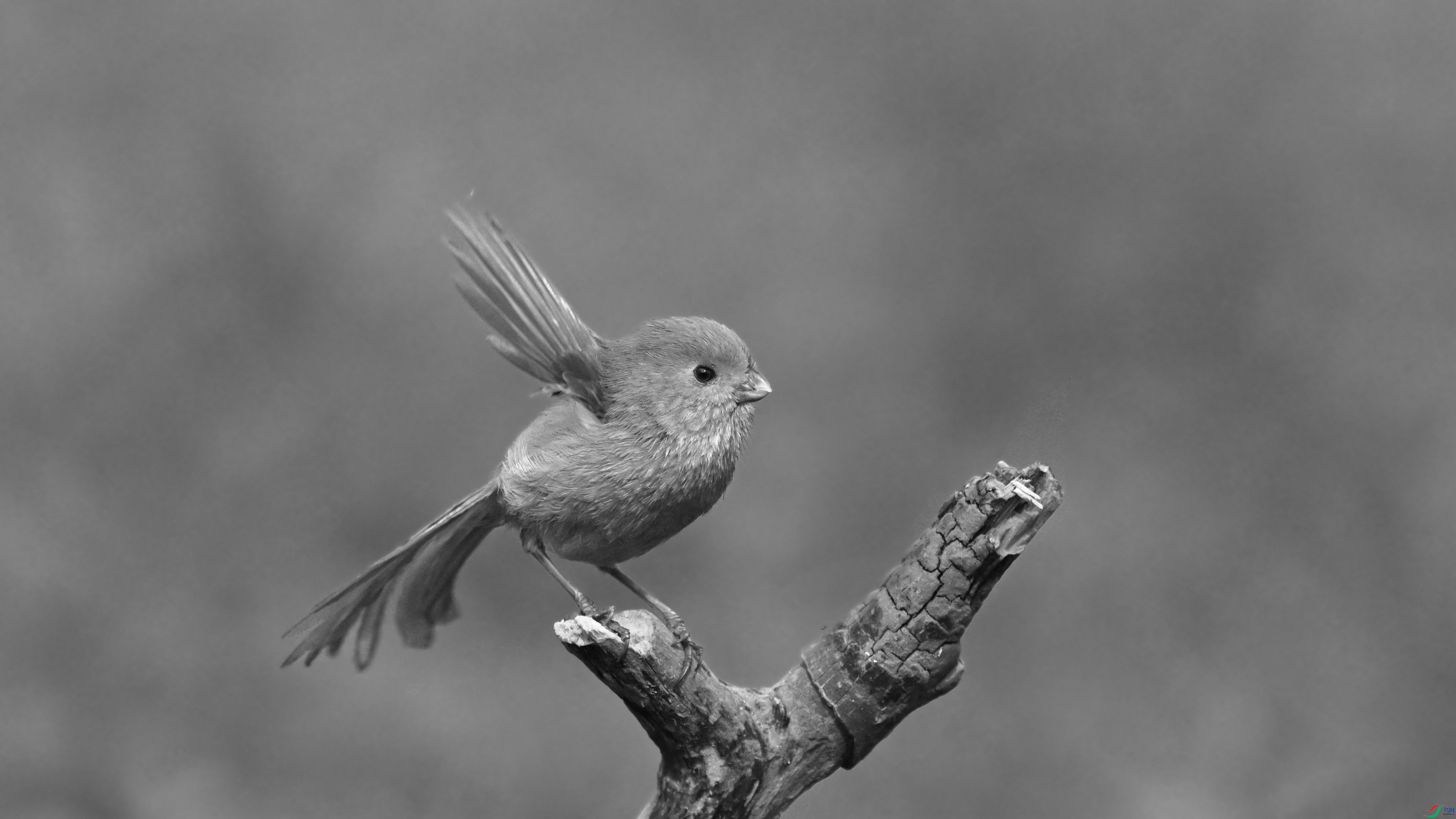 DSC_7164.JPG