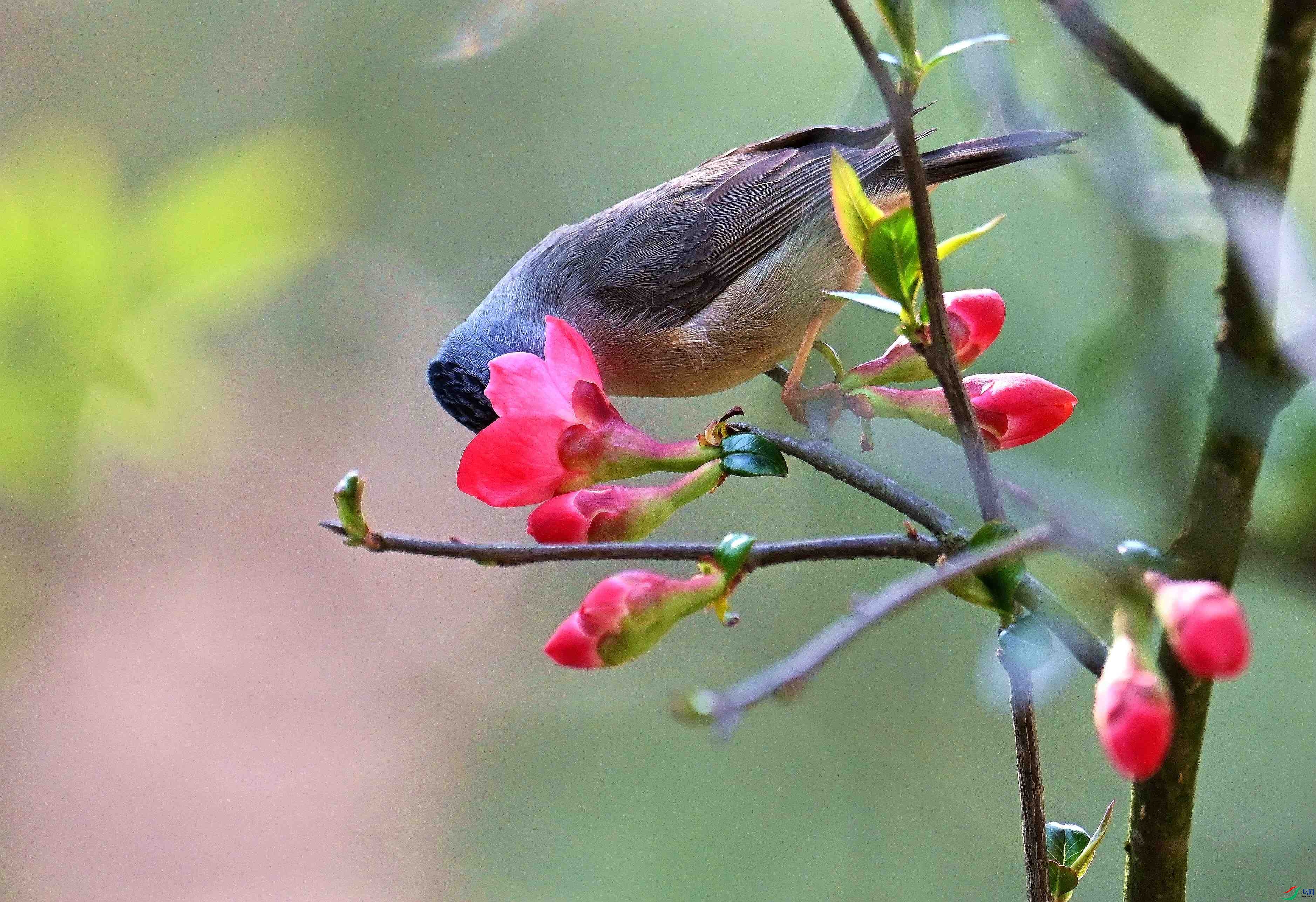 DSC_1559.jpg