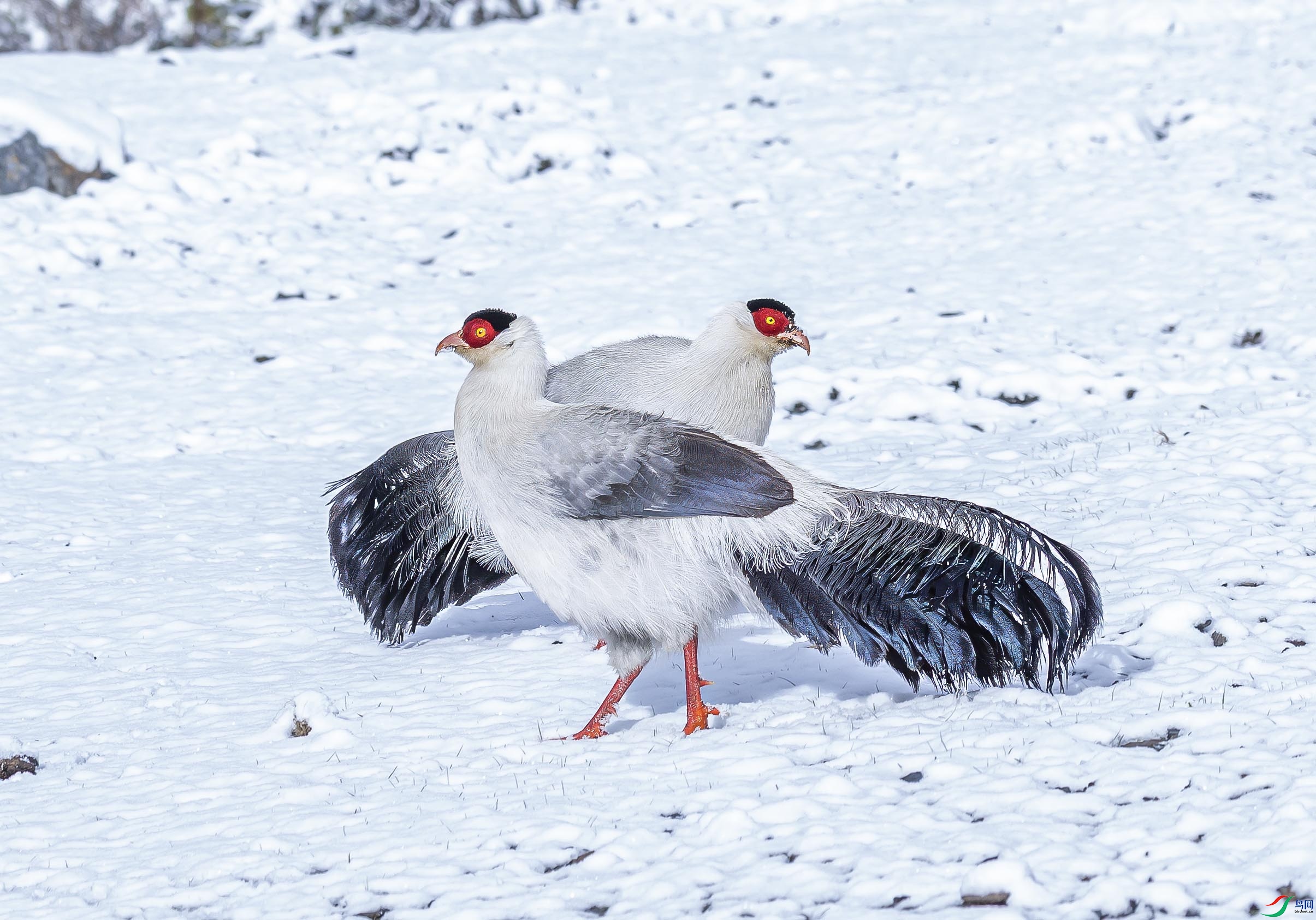 032A6500������.jpg