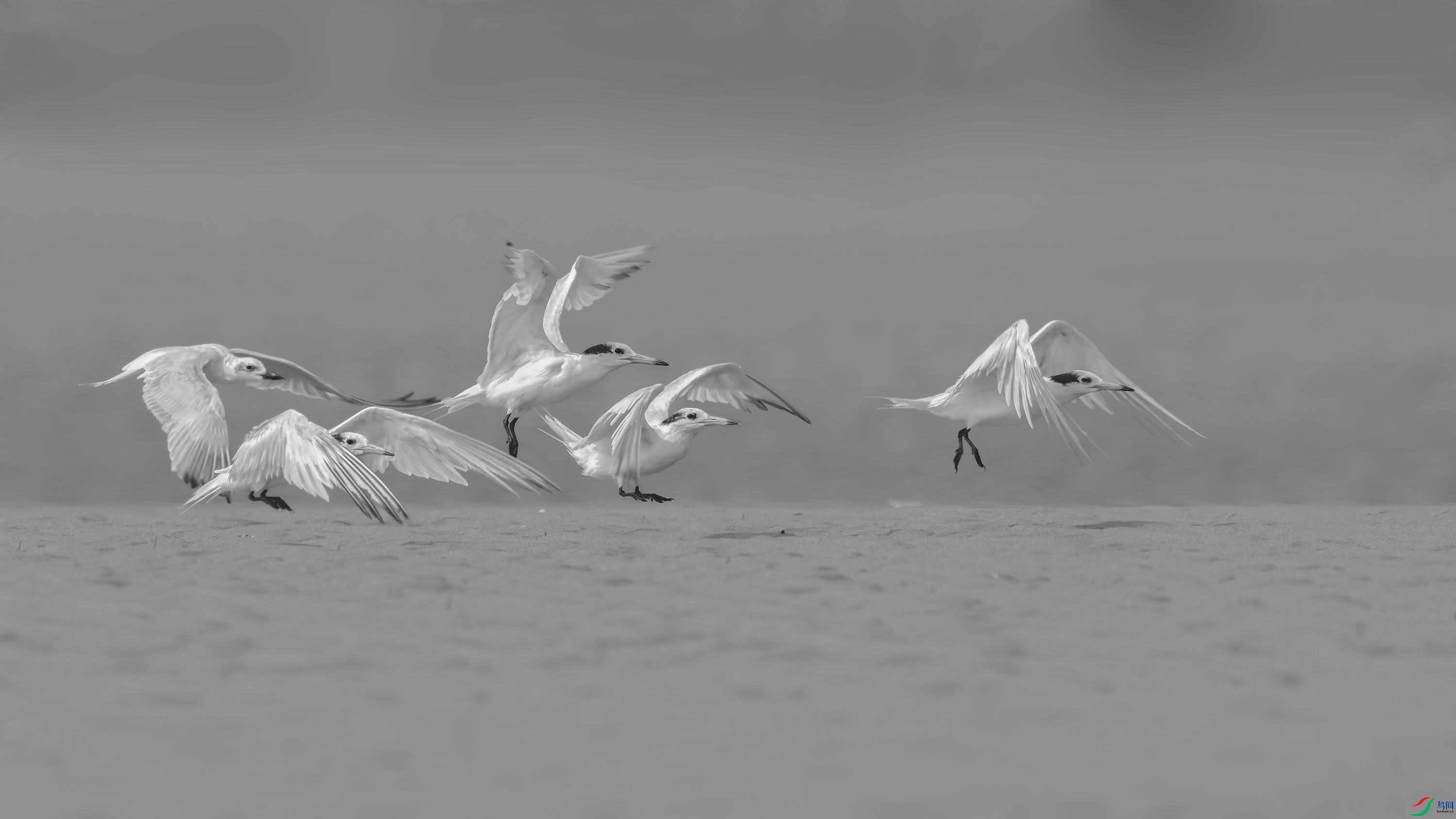 DSC_3916_DxO.jpg