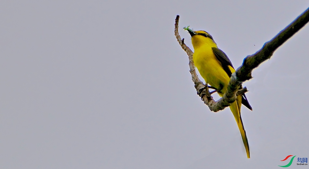 _DSC2224-DeNoiseAI-standard_����.jpg