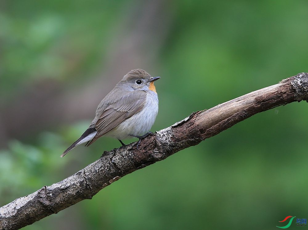 D72T9955.JPG