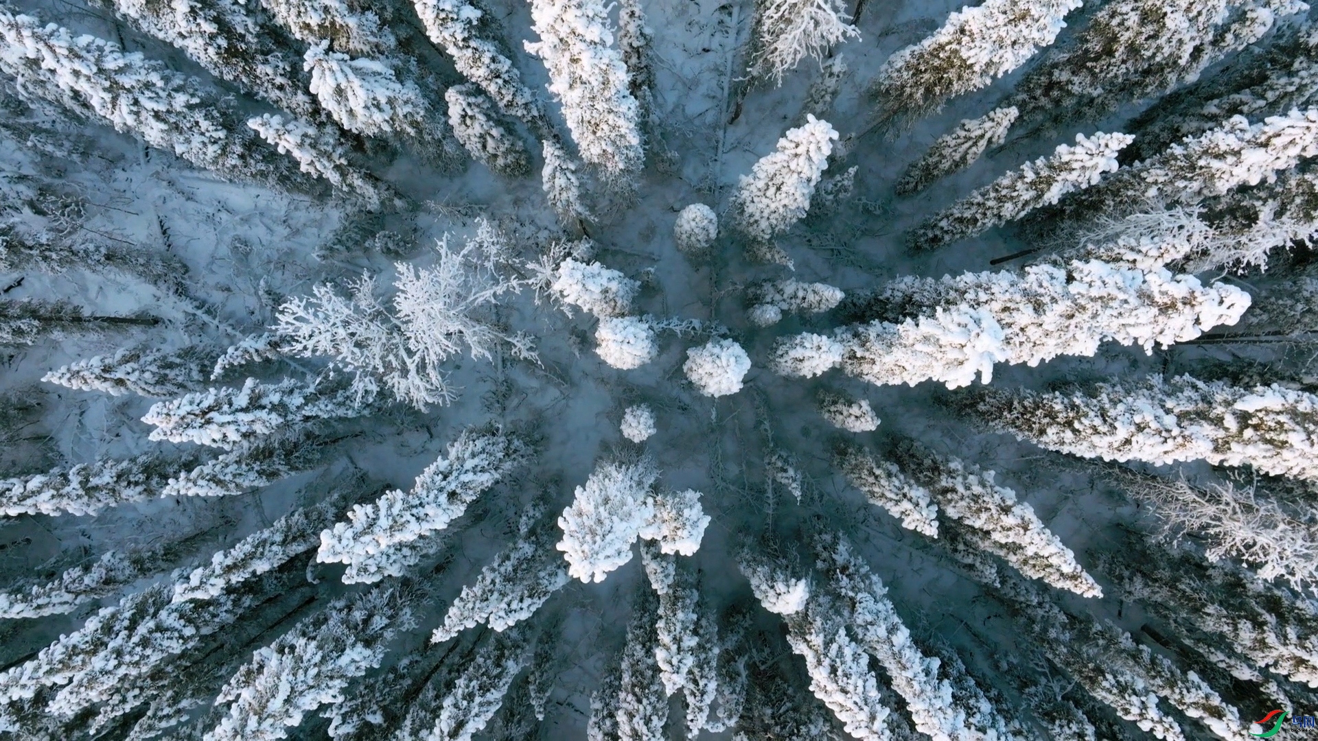 ���鶯������04ѩ������.jpg