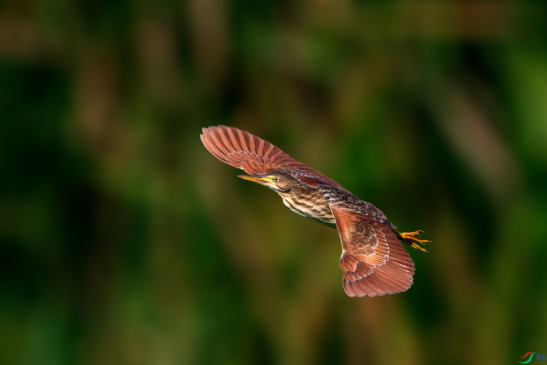 _AUU8861��έ�Z(24.8.9).jpg