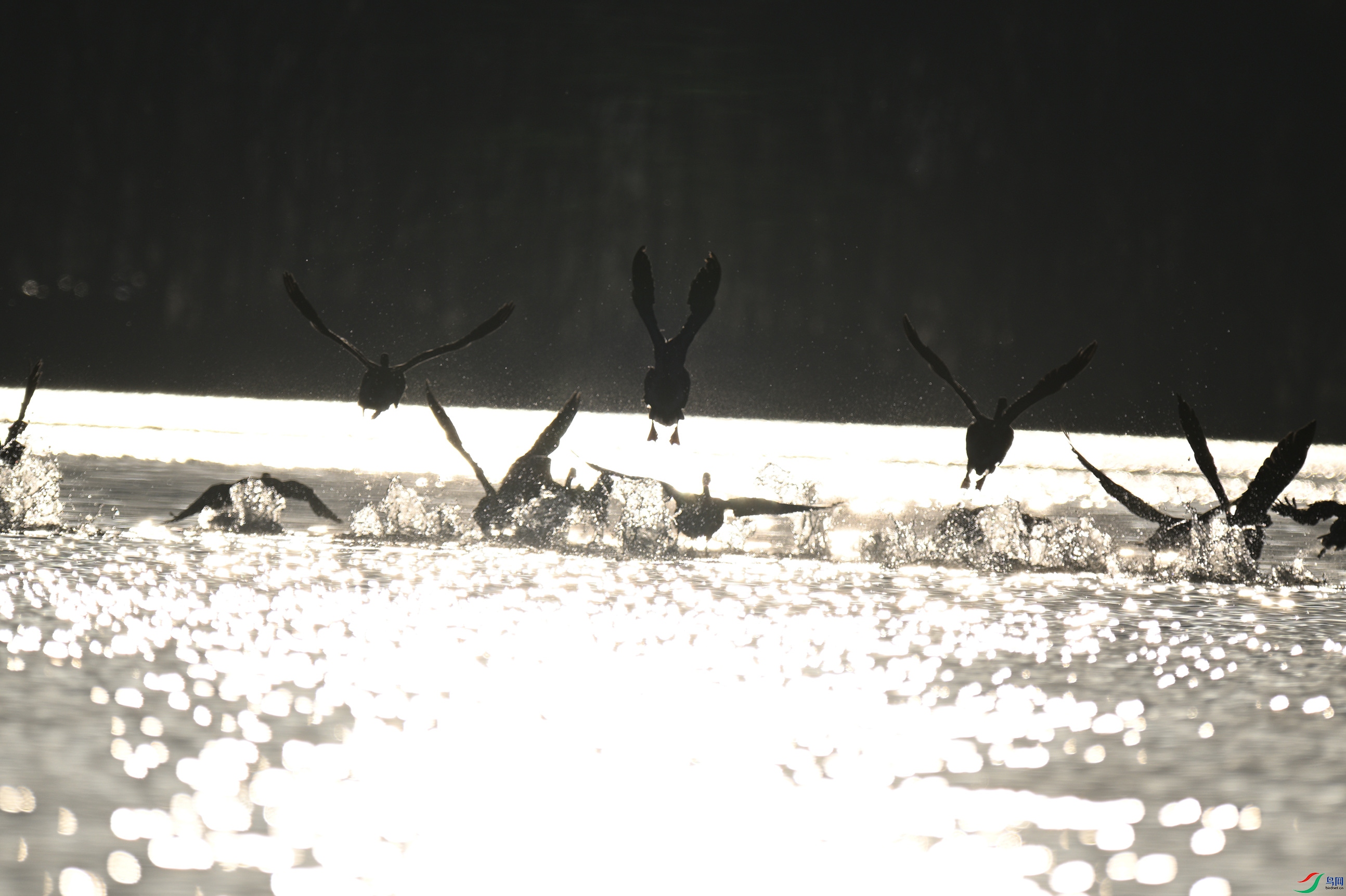 DSC_5435_����.jpg