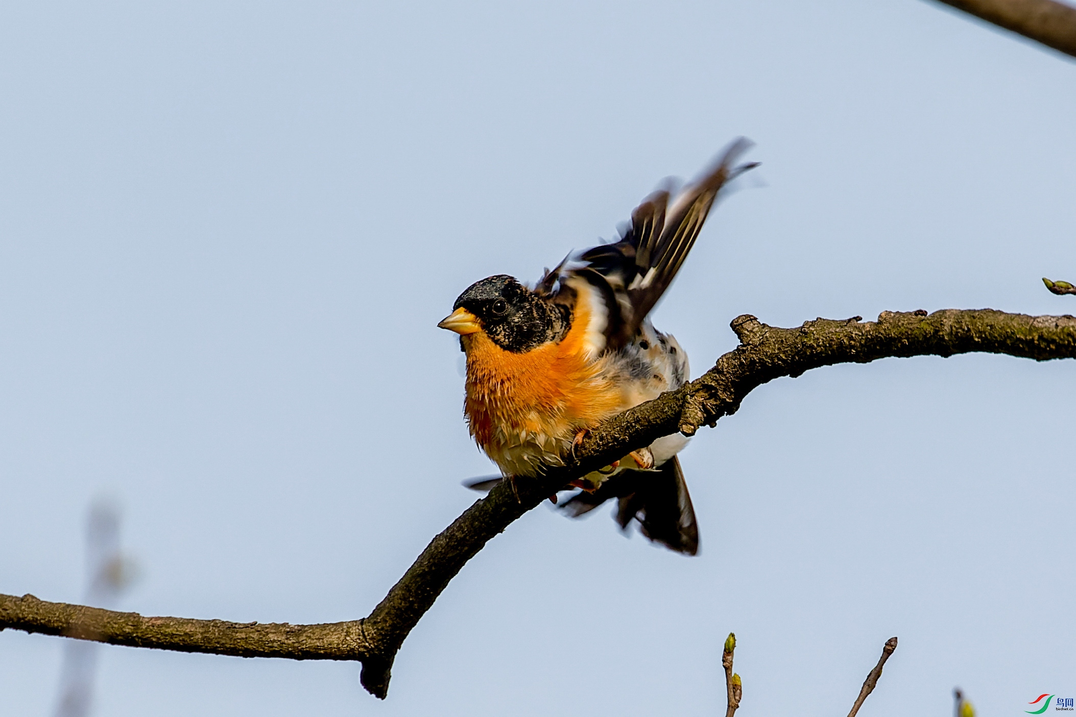 7D2_0993-CR2_DxO_DeepPRIME-1.jpg