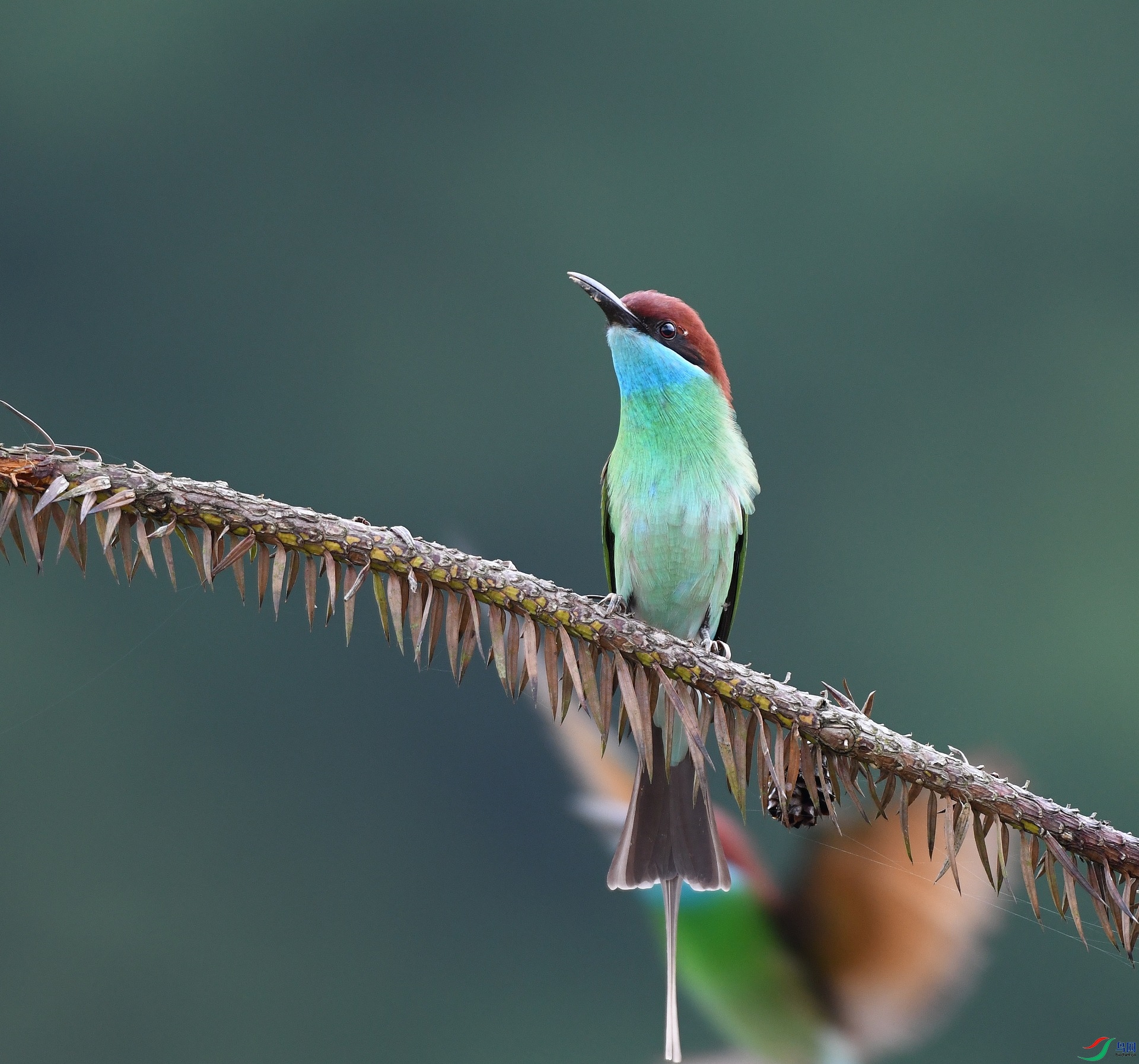 DSC_1280.jpg