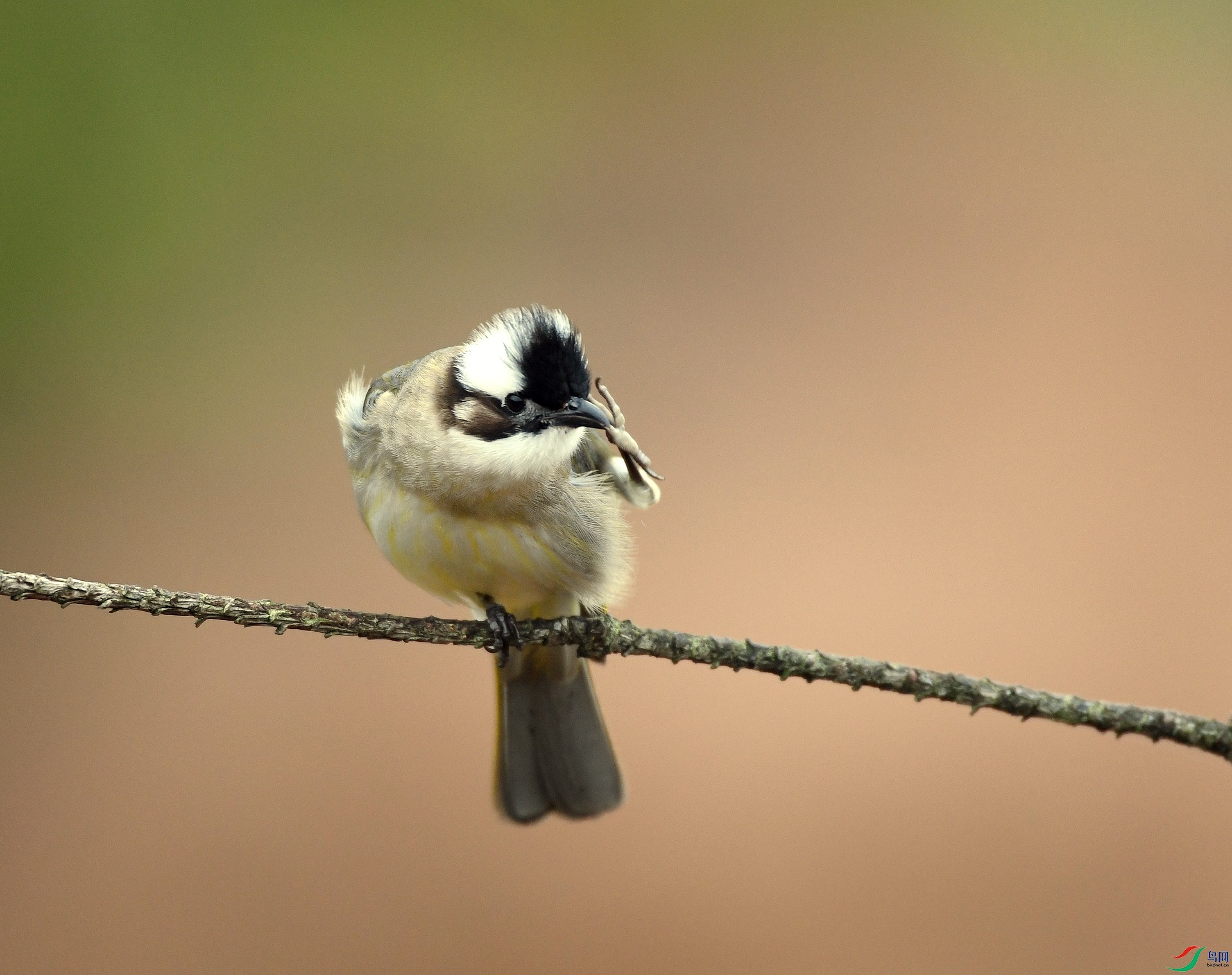 DSC_1225.jpg