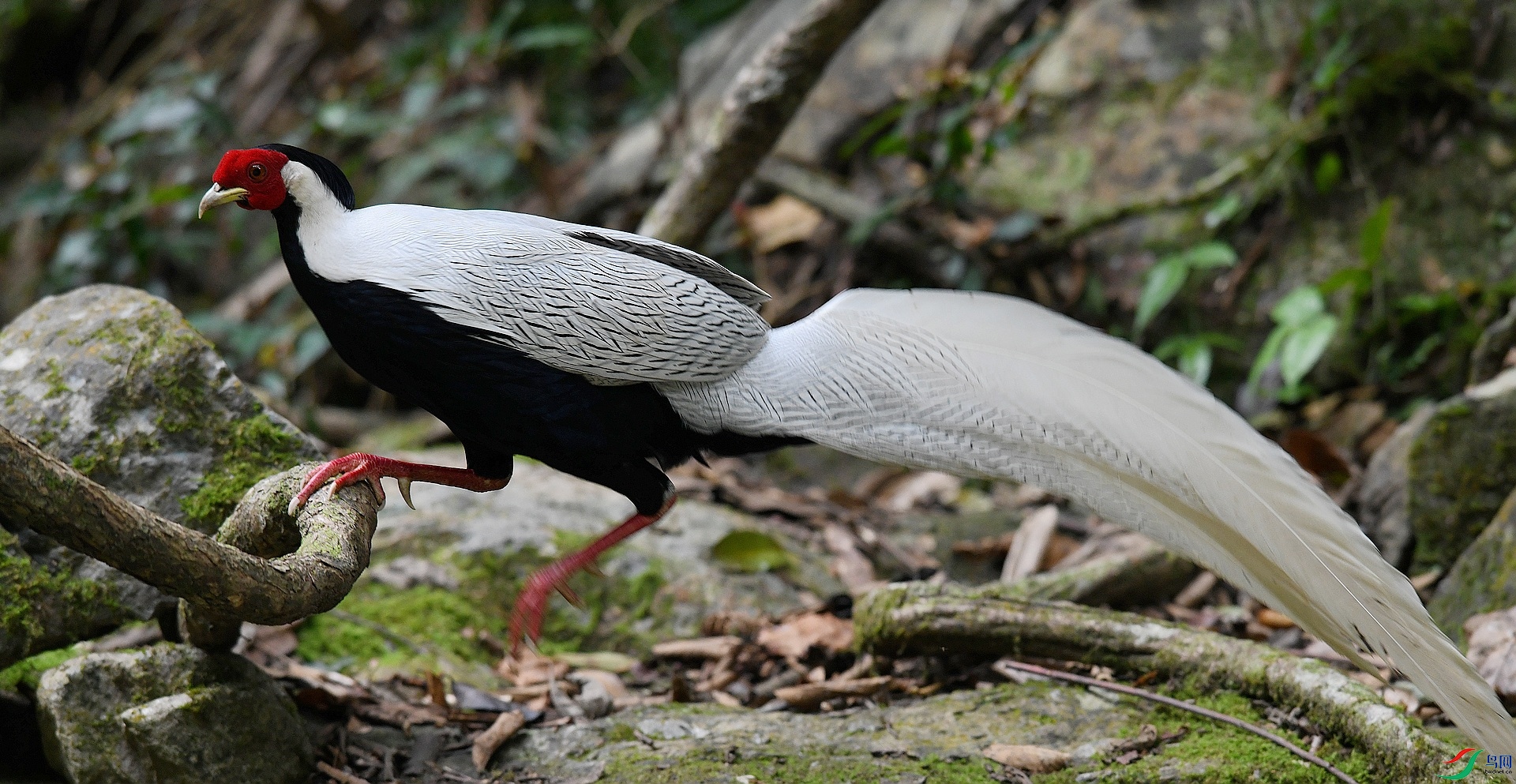 DSC_0652.jpg
