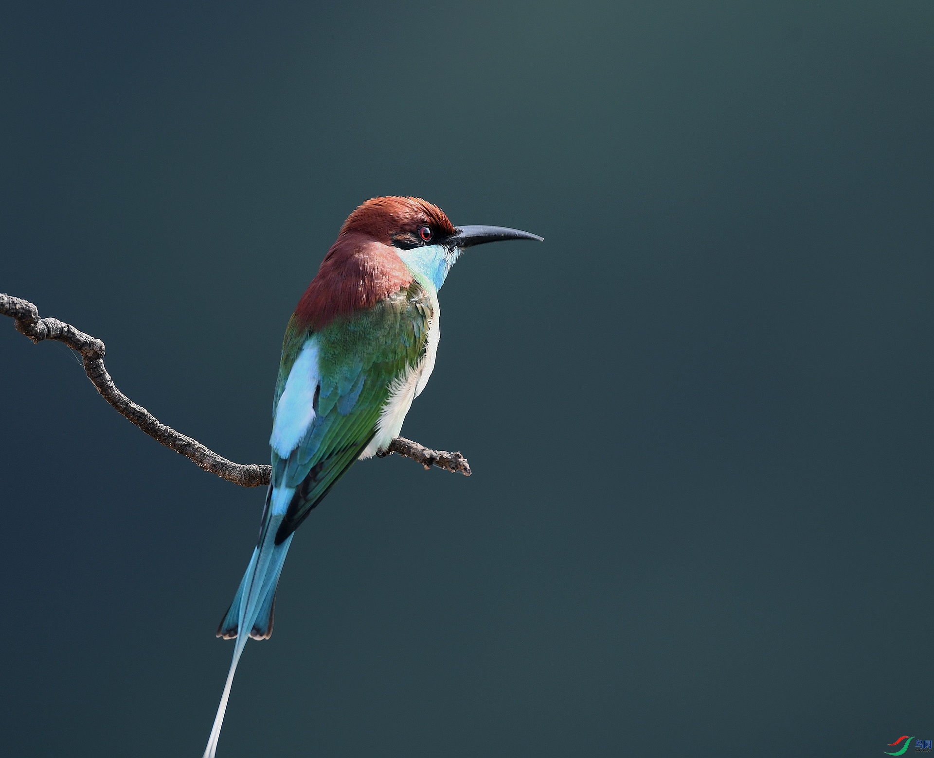 DSC_0481.jpg