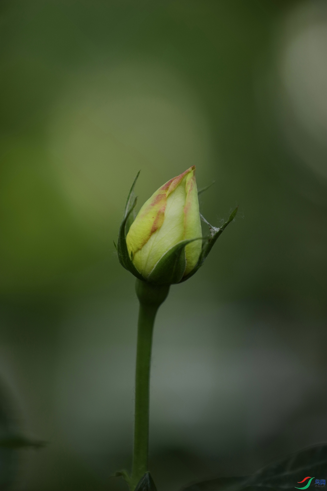 3X7A7828.JPG