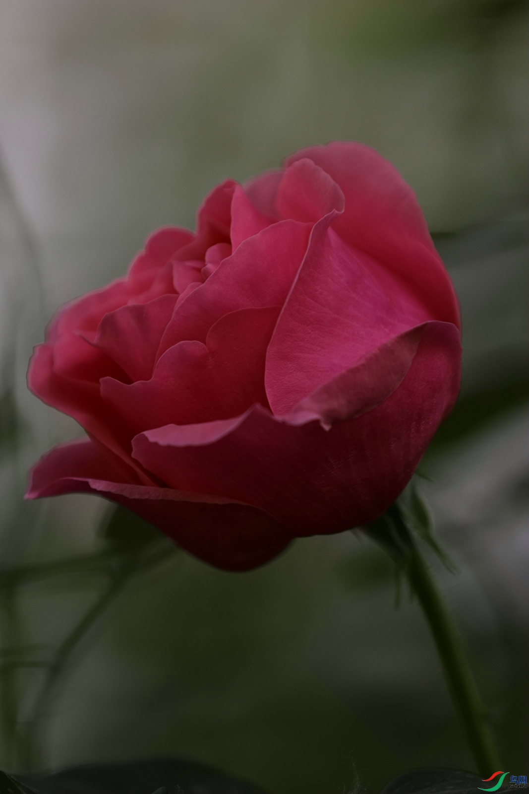 3X7A7854.JPG