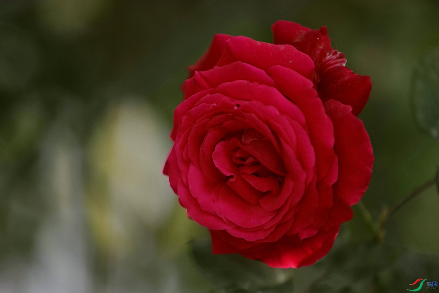 3X7A7895.JPG