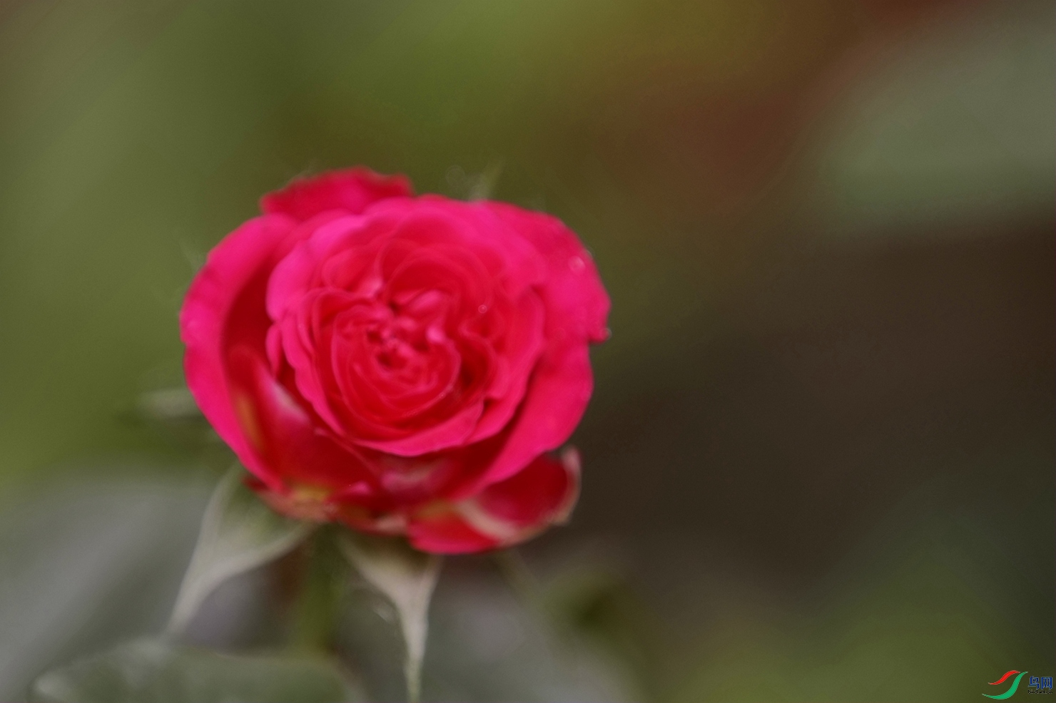 3X7A7943.JPG