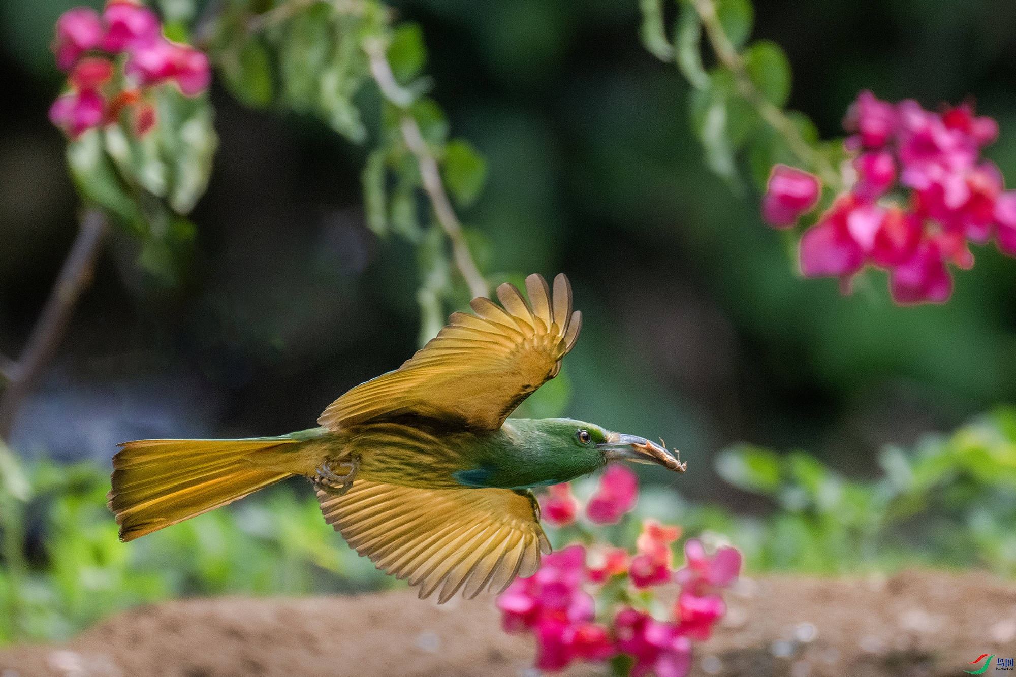 DSC_9269-1.jpg