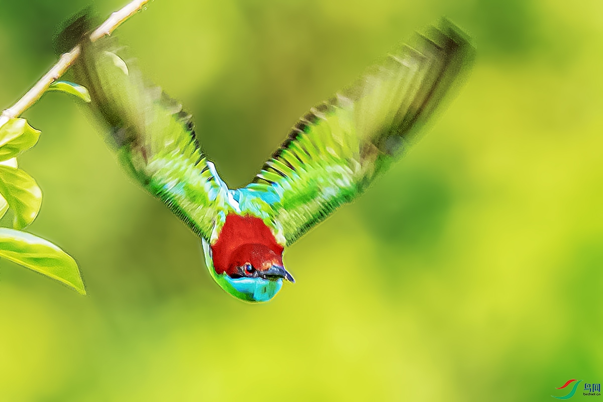 DSC_0363-����ǿ.jpg
