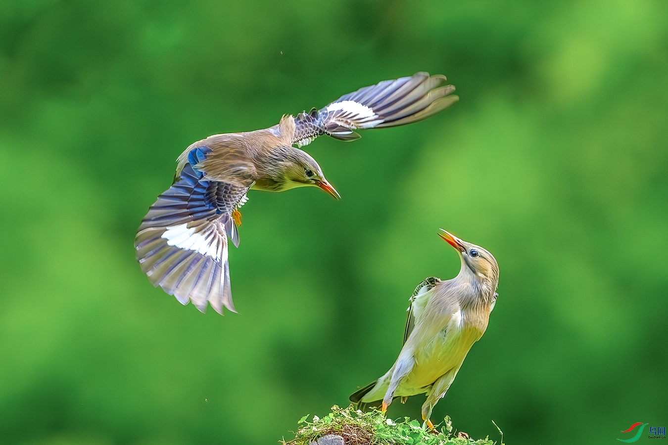DSC_1030b.jpg