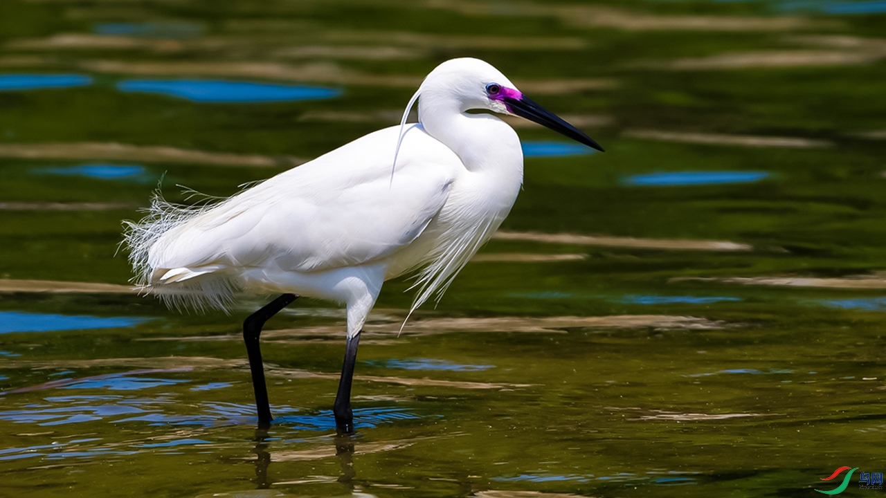 DSC_3589--=-.jpg
