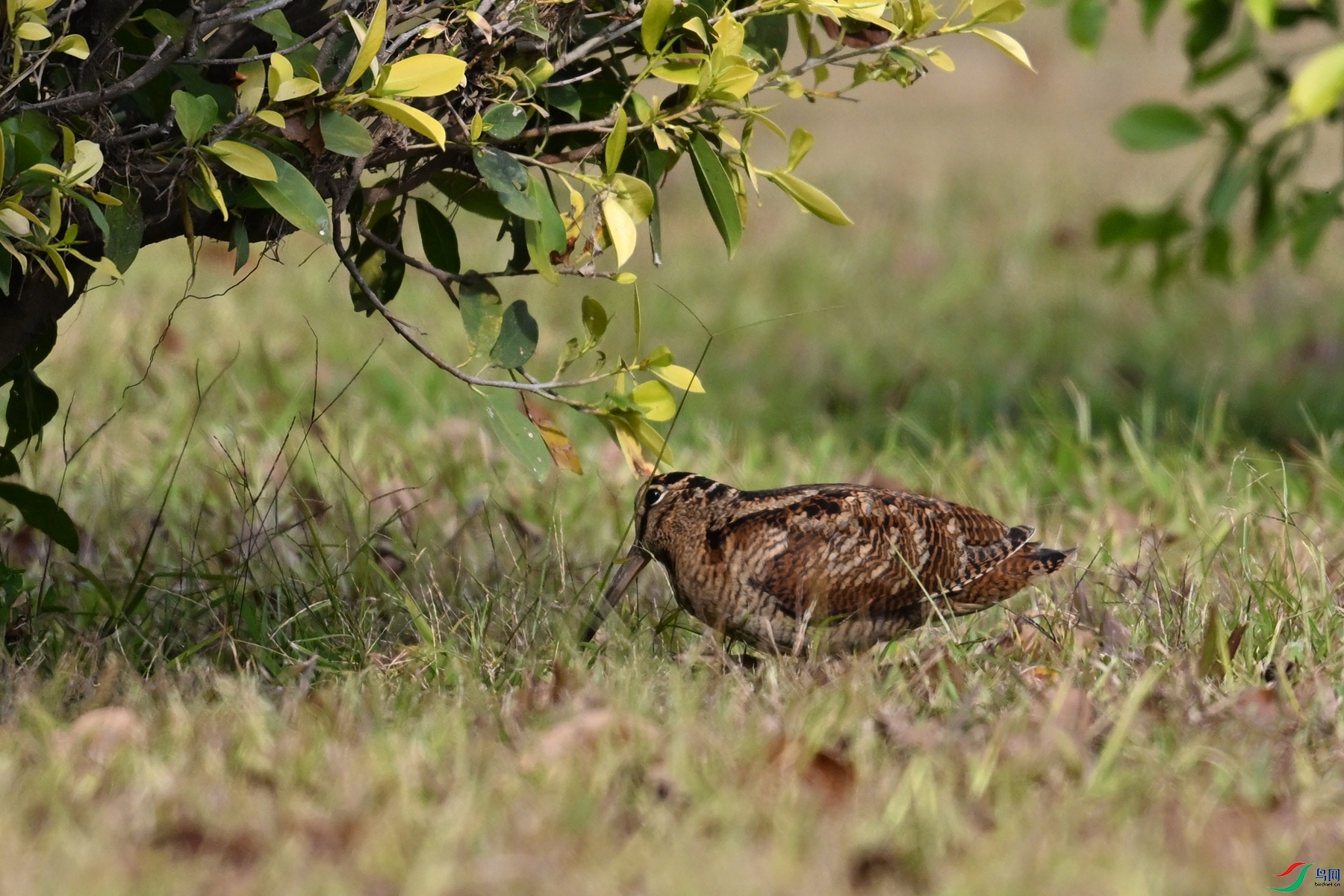 DSC_8394.JPG